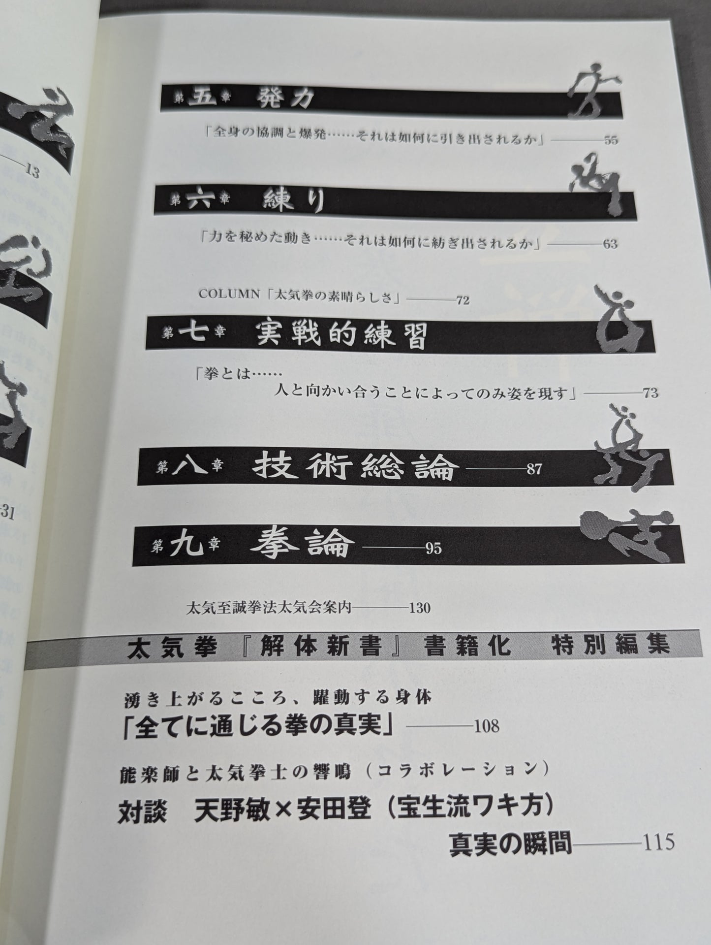 The Door of Tai Chi From Kenichi Sawai to Satoshi Amano Now is the time for Tai Chi Chun to be revealed!