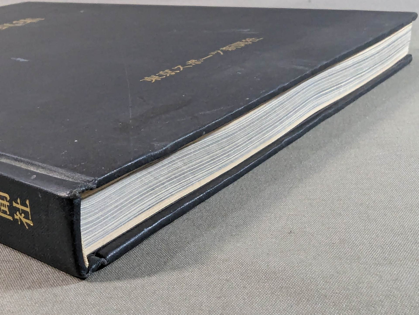 Pro Wrestling Demon Rikidozan Photo Collection