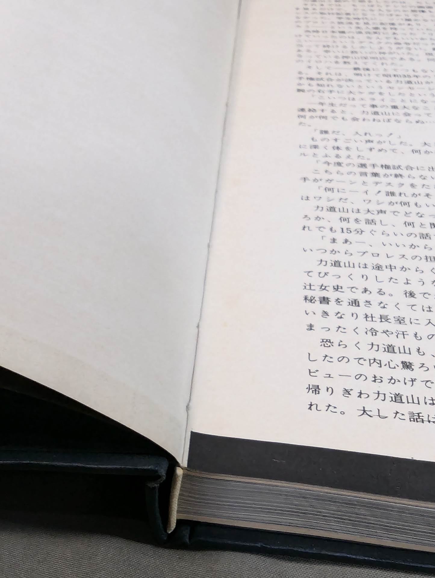 Pro Wrestling Demon Rikidozan Photo Collection