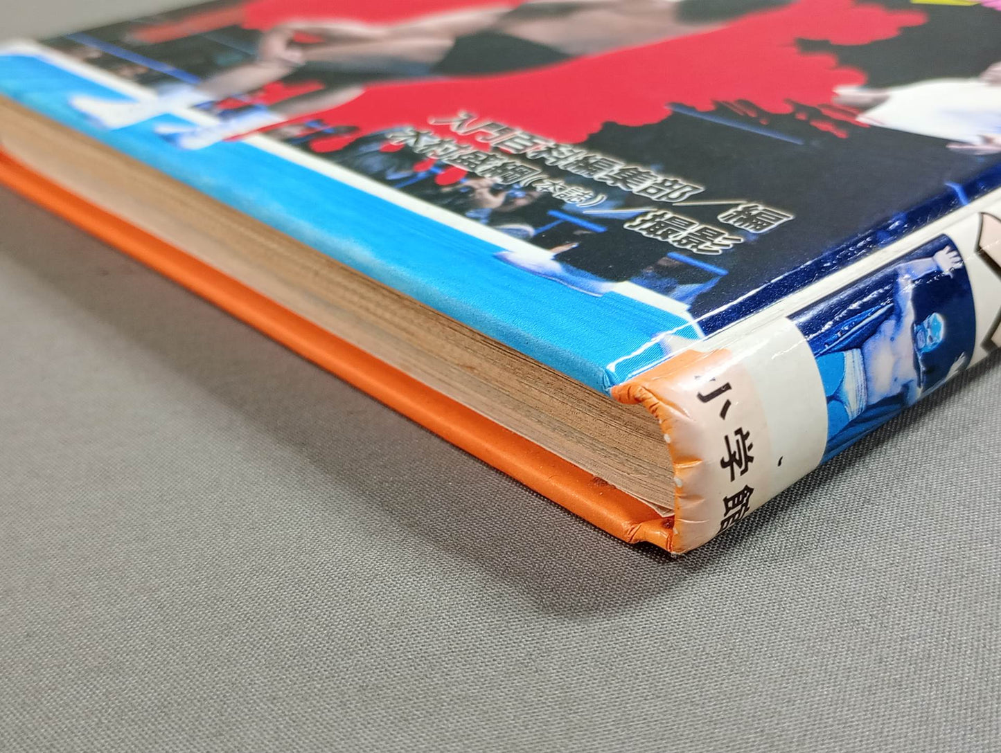 レッツ・ファイト!プロレス 小学館入門百科シリーズ145