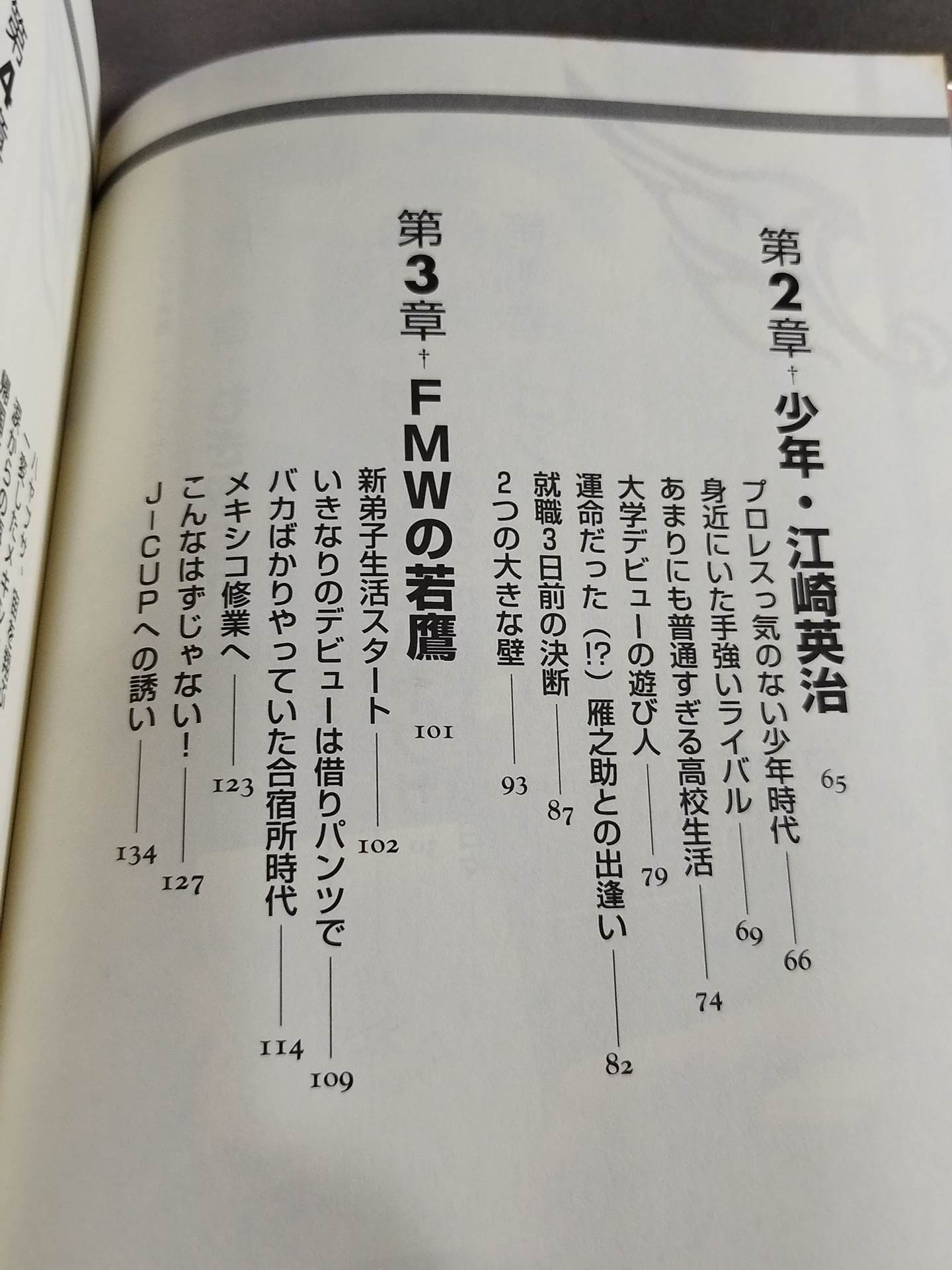 ハヤブサ降臨 そして不死鳥はよみがえる
