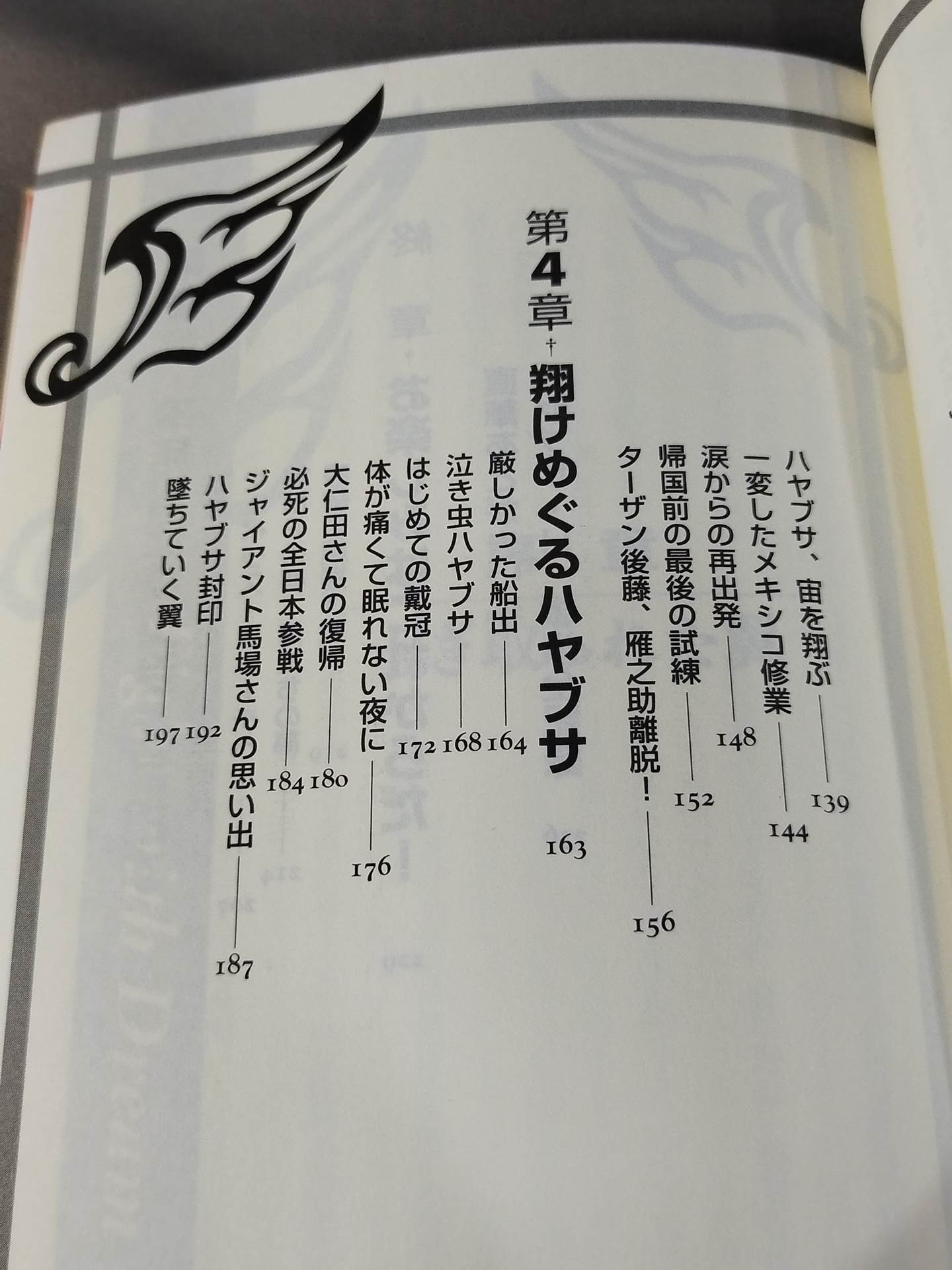 ハヤブサ降臨 そして不死鳥はよみがえる