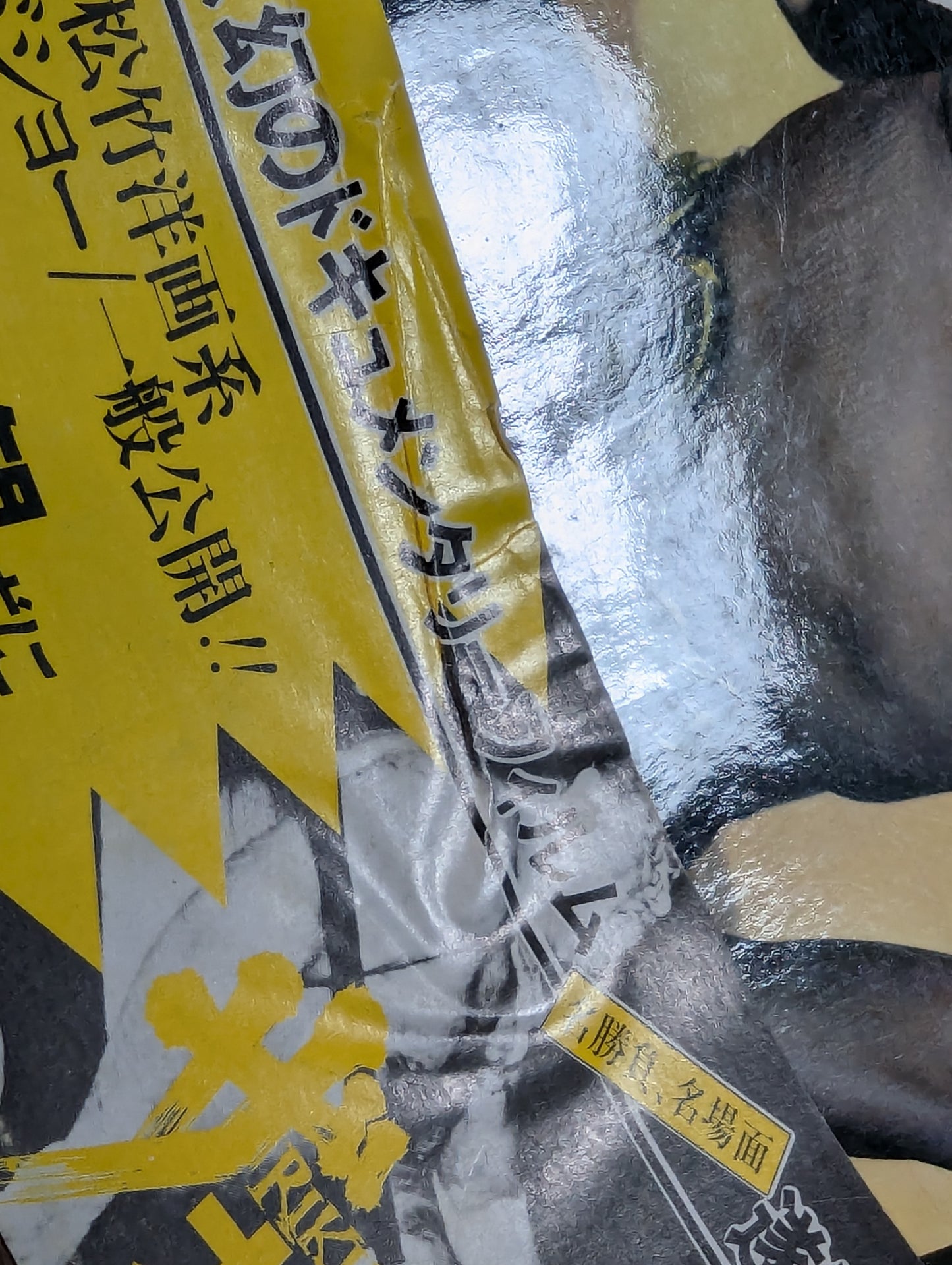 甦る怒濤の男 力道山