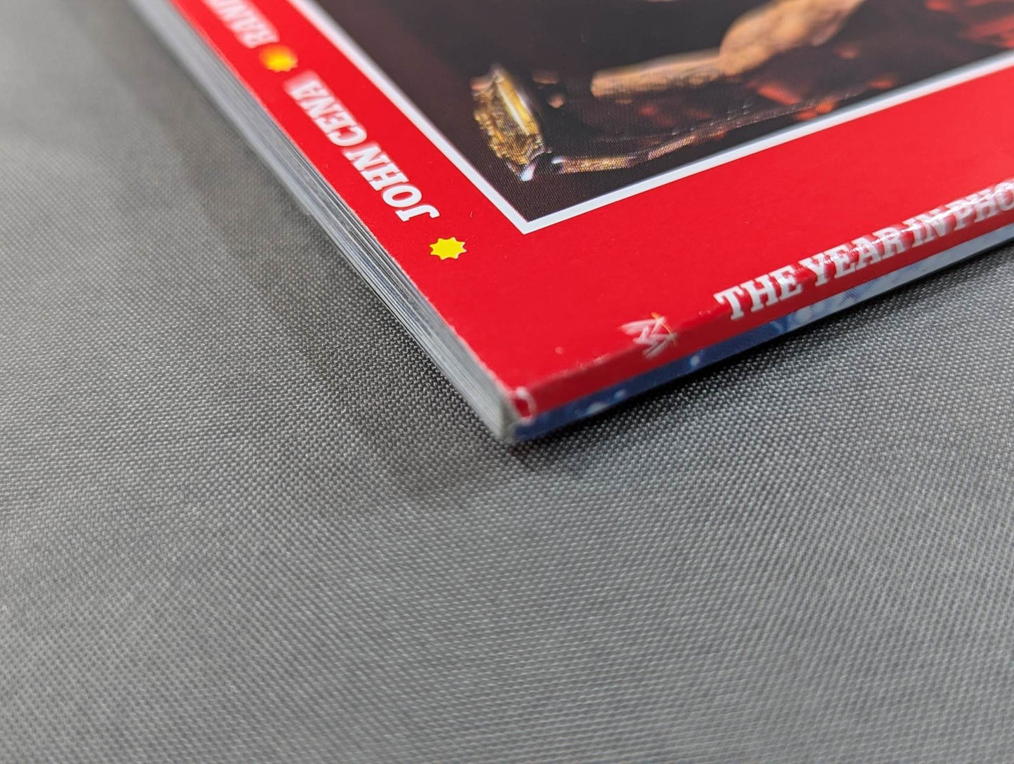 WWE THE YEAR IN PHOTOS 2010