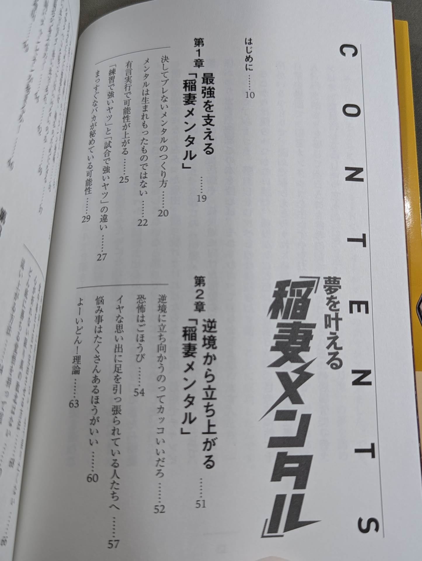 夢を叶える「稲妻メンタル」
