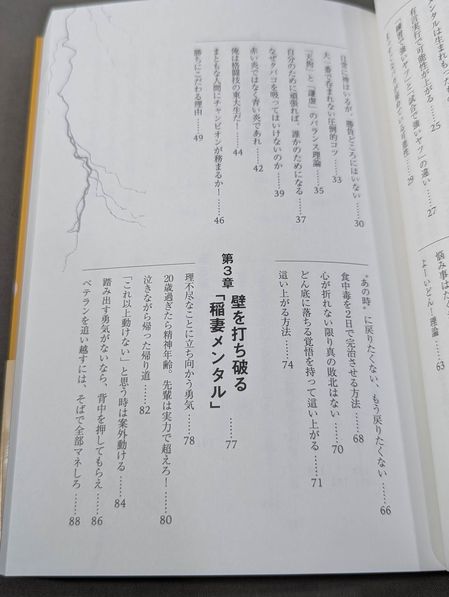 夢を叶える「稲妻メンタル」
