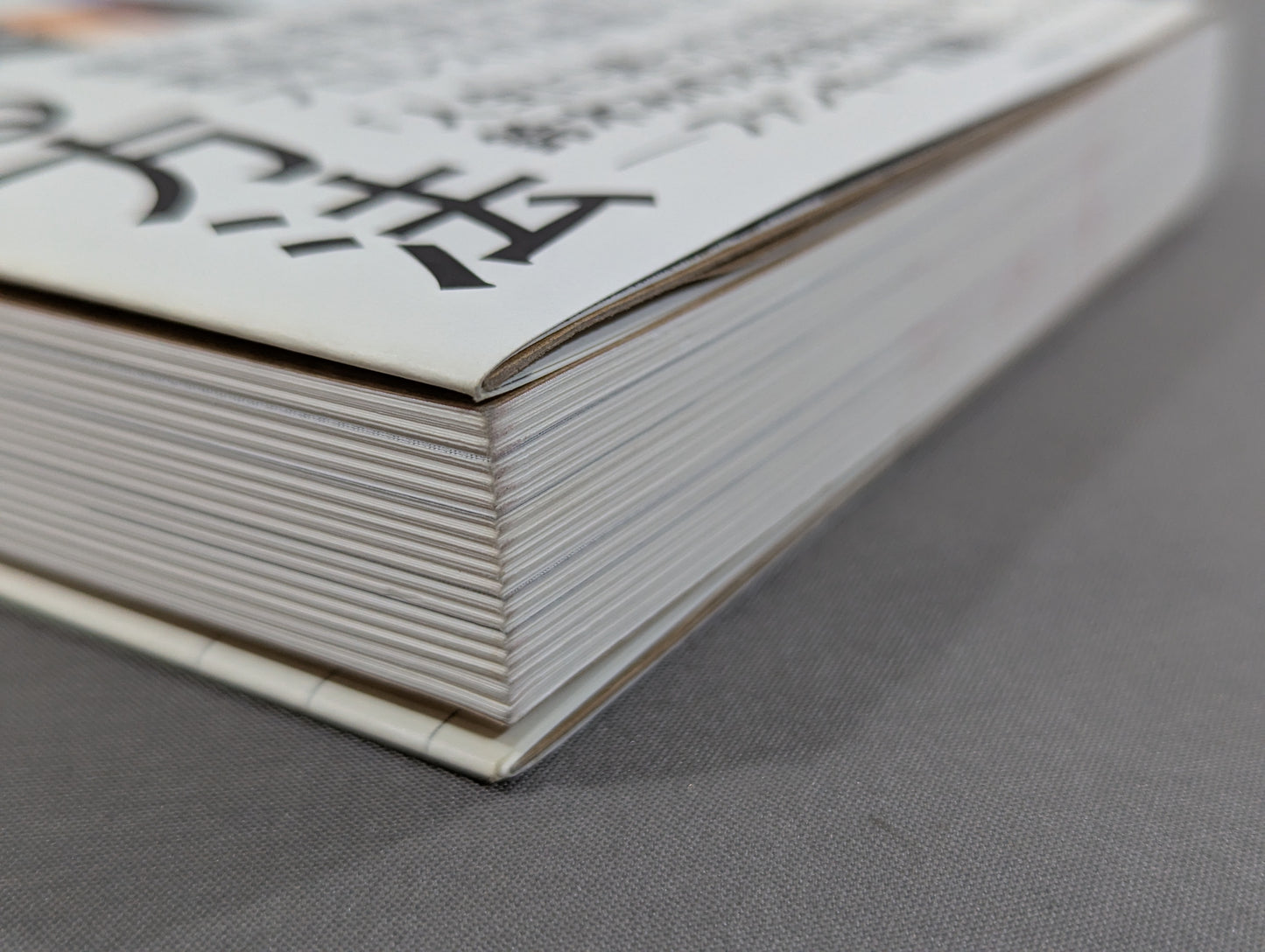 【鈴木みのる 直筆サイン入り】プロレスで〈自由〉になる方法