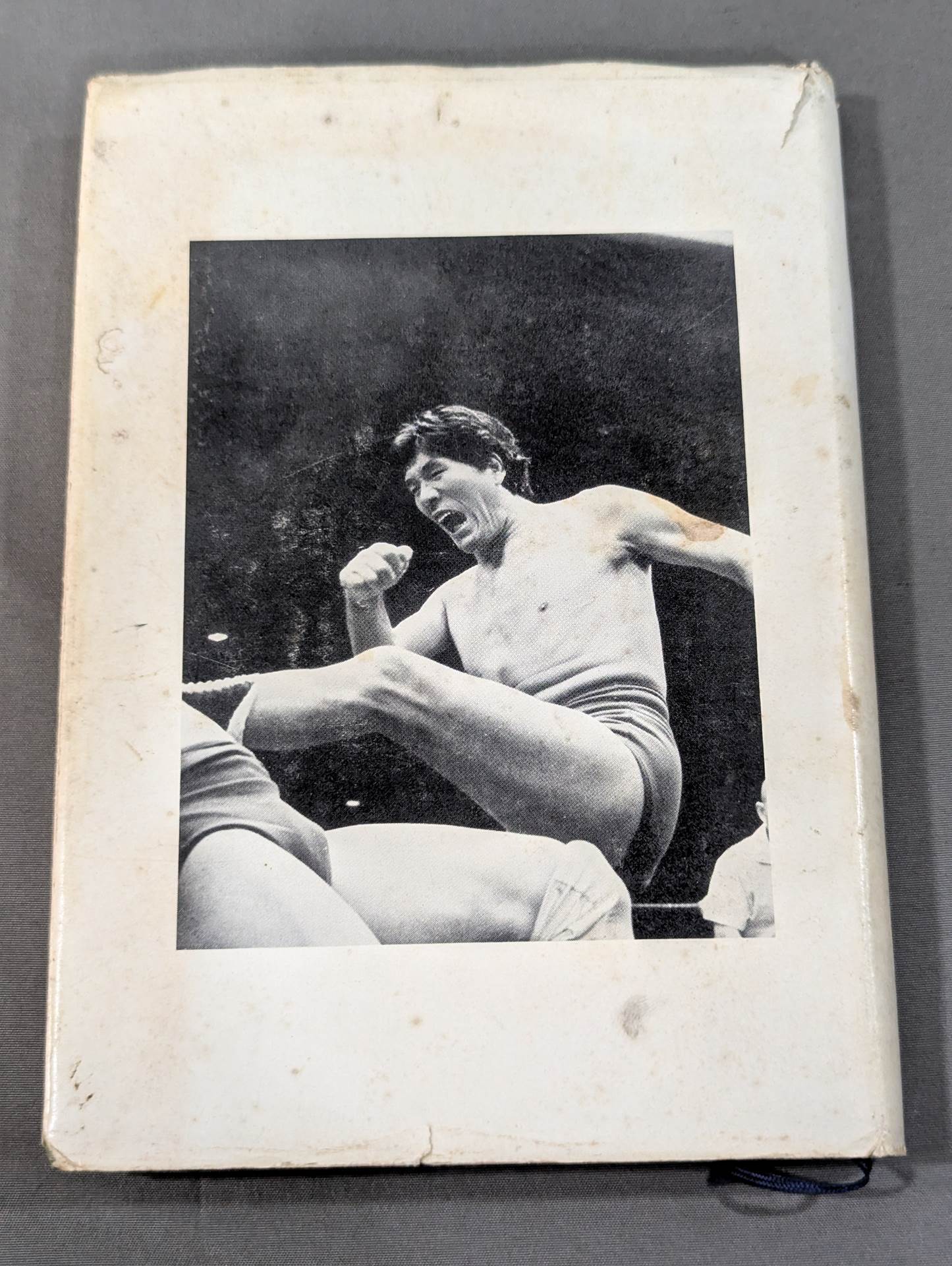 Quiet fighting spirit "Giant Baba "
