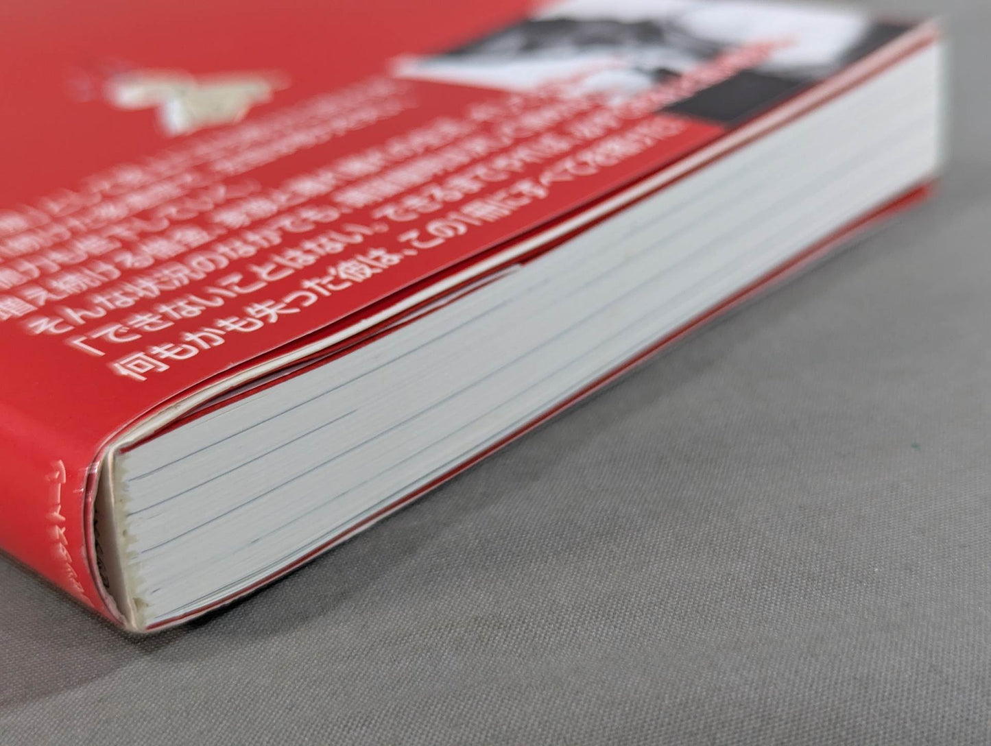 【著者 直筆サイン入り】明日こそハレルヤ! 殴られ屋のハチャメチャ人生。めざすは最後の一発大逆転!