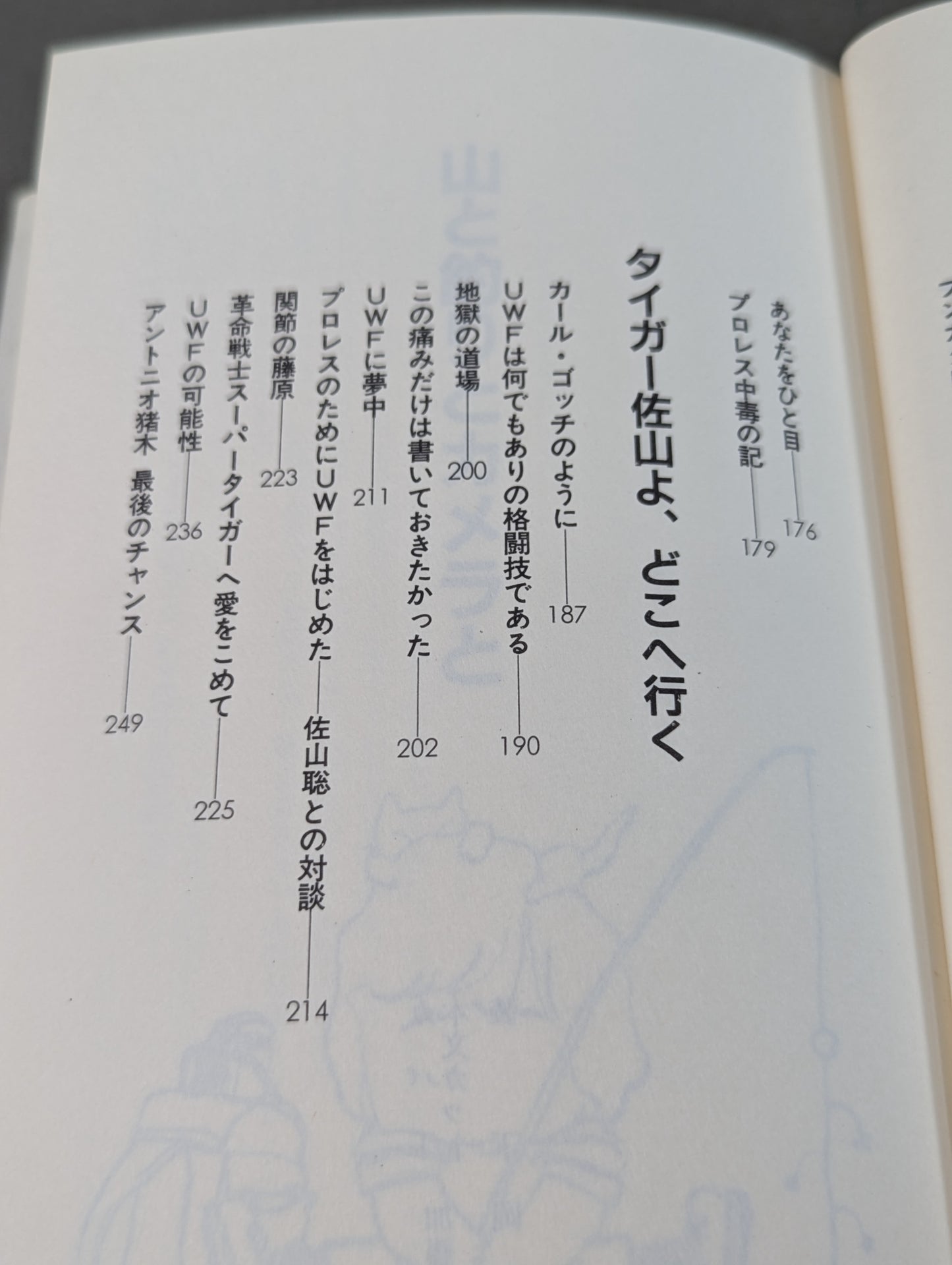 倒れて本望 第一エッセイ集プロレス入り