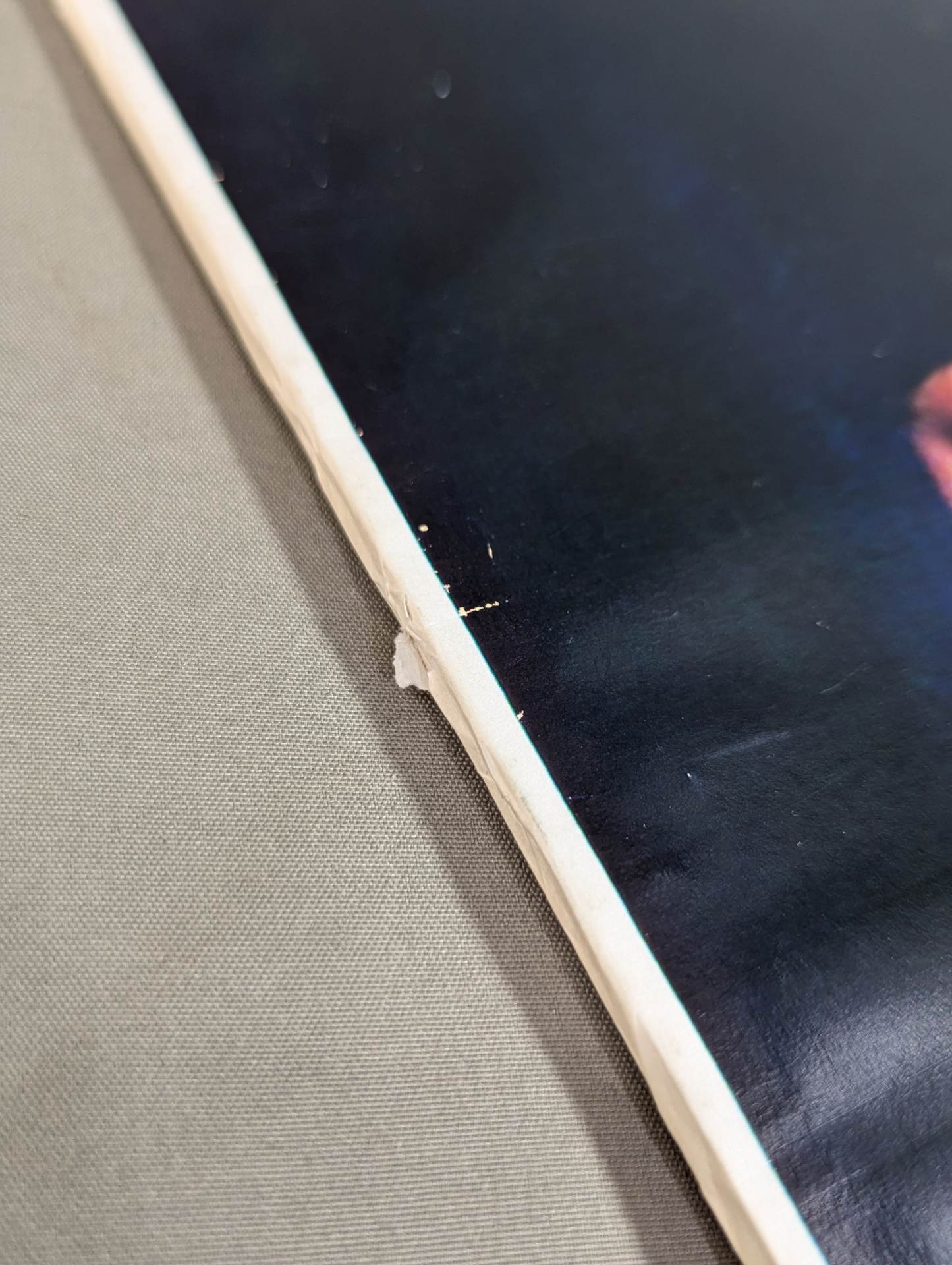 【おまけ付】立野記代アルバム Part.3