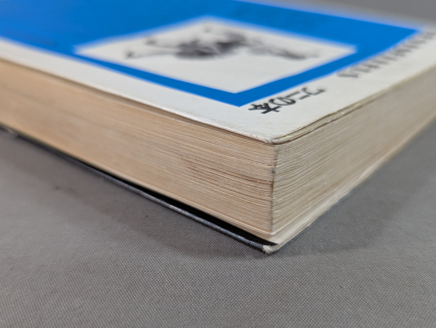 世界ケンカ旅行 32ヵ国なぐり込み大暴れ