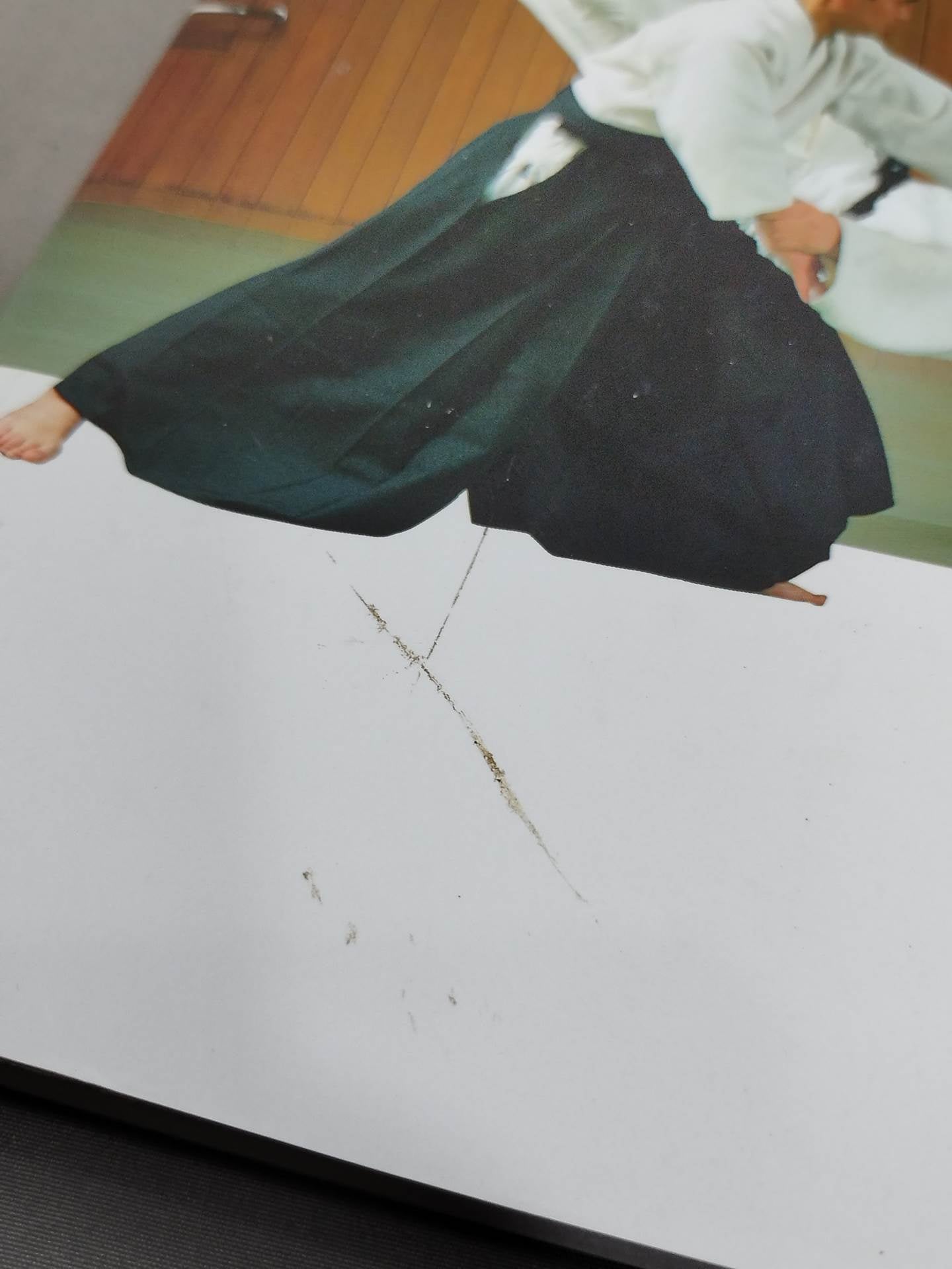Photo Detailed Aikido Basic Techniques Complete Book