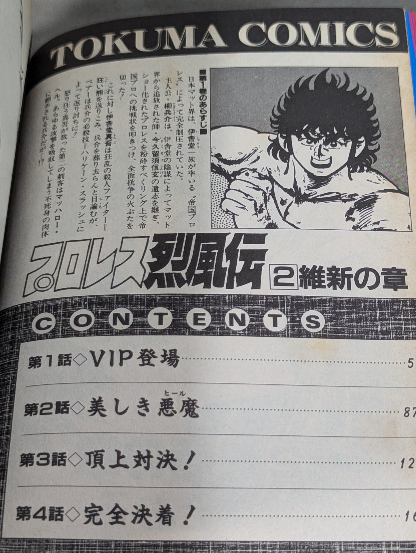 【全2巻セット】プロレス烈風伝