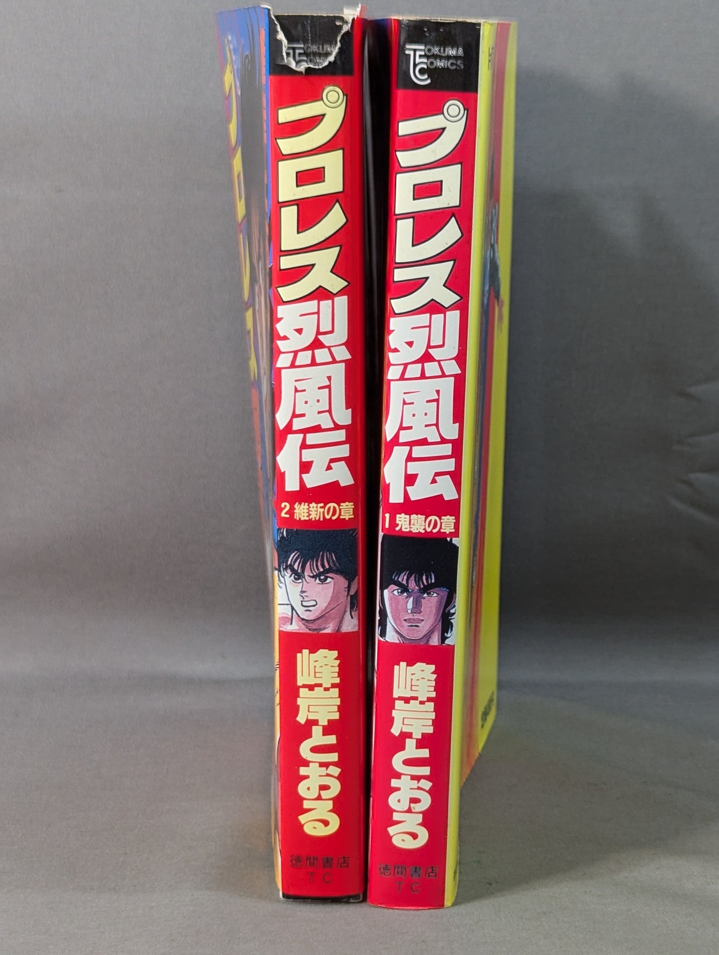 【全2巻セット】プロレス烈風伝