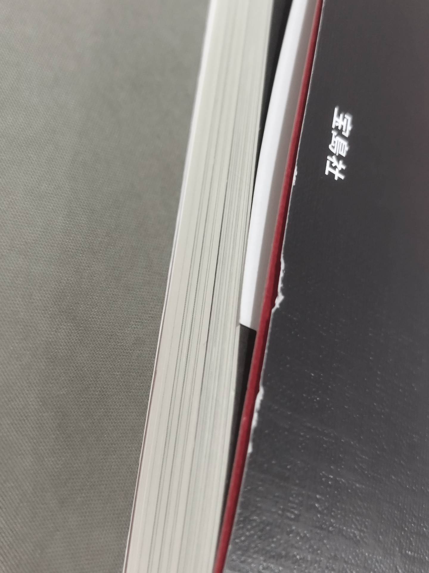 アントニオ猪木と新日本「道場」最強伝説