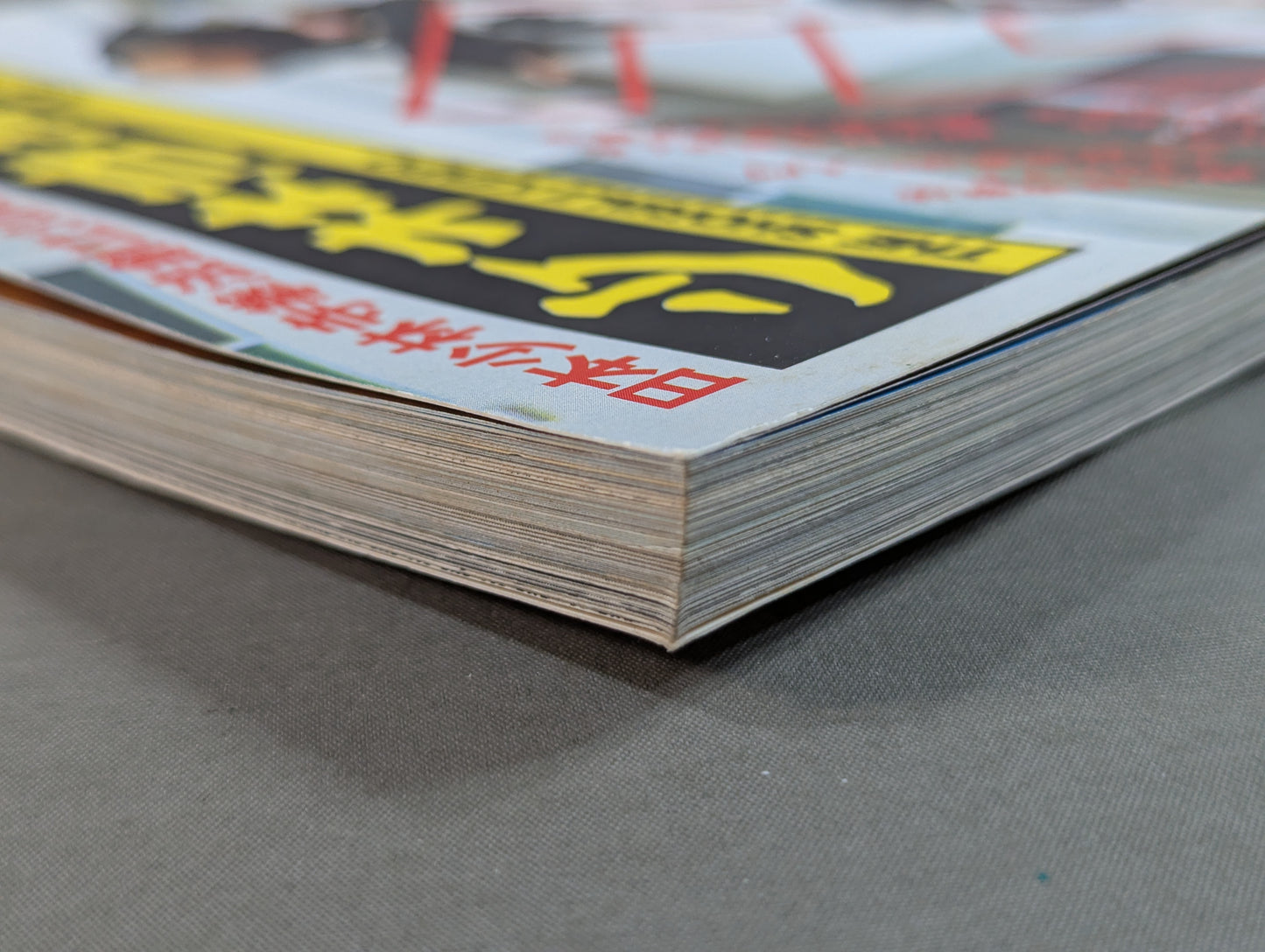 Shaolin Kenpo 30th Anniversary of the Founding of Shaolin Kenpo in Japan