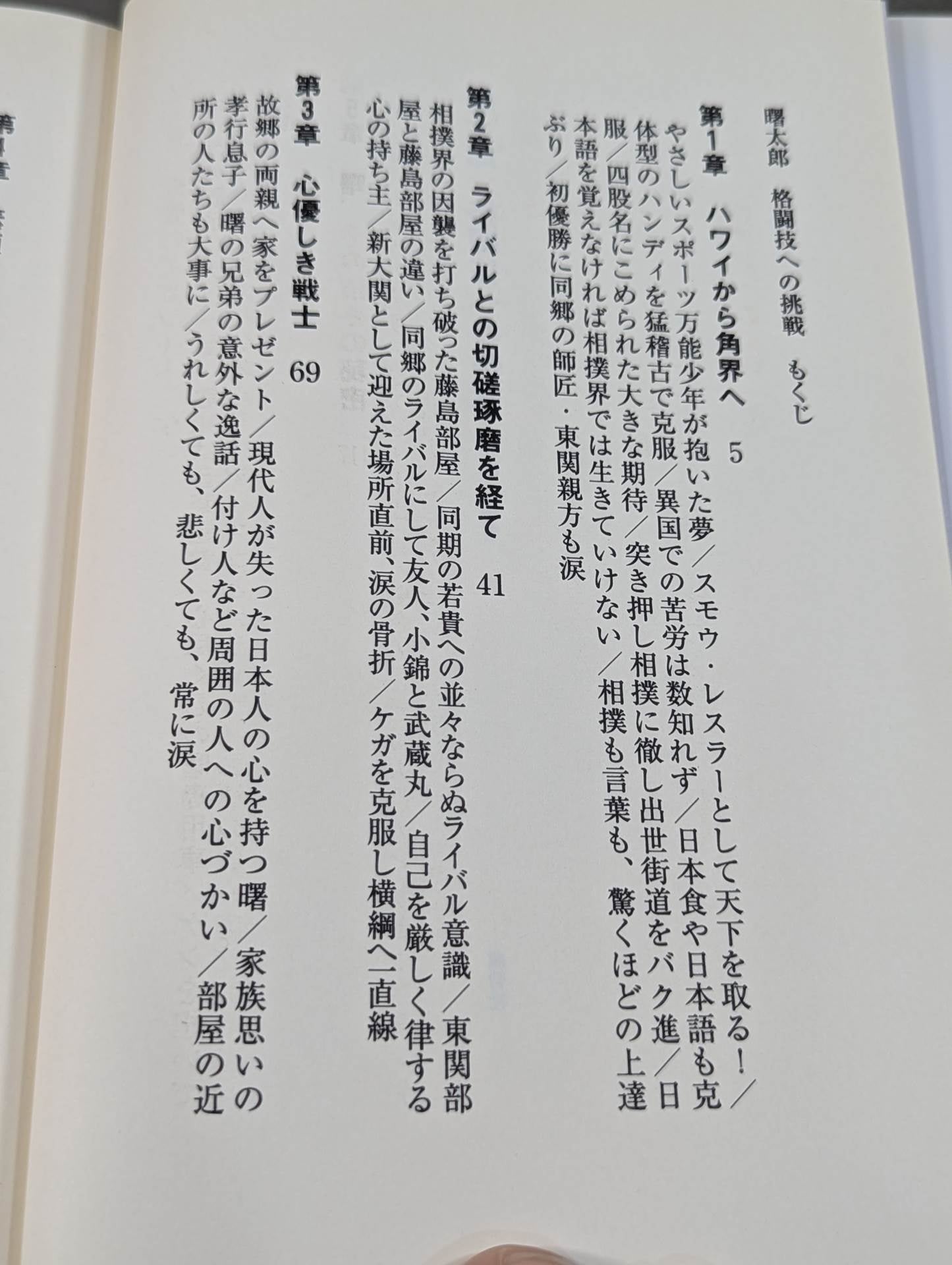 曙太郎 格闘技への挑戦