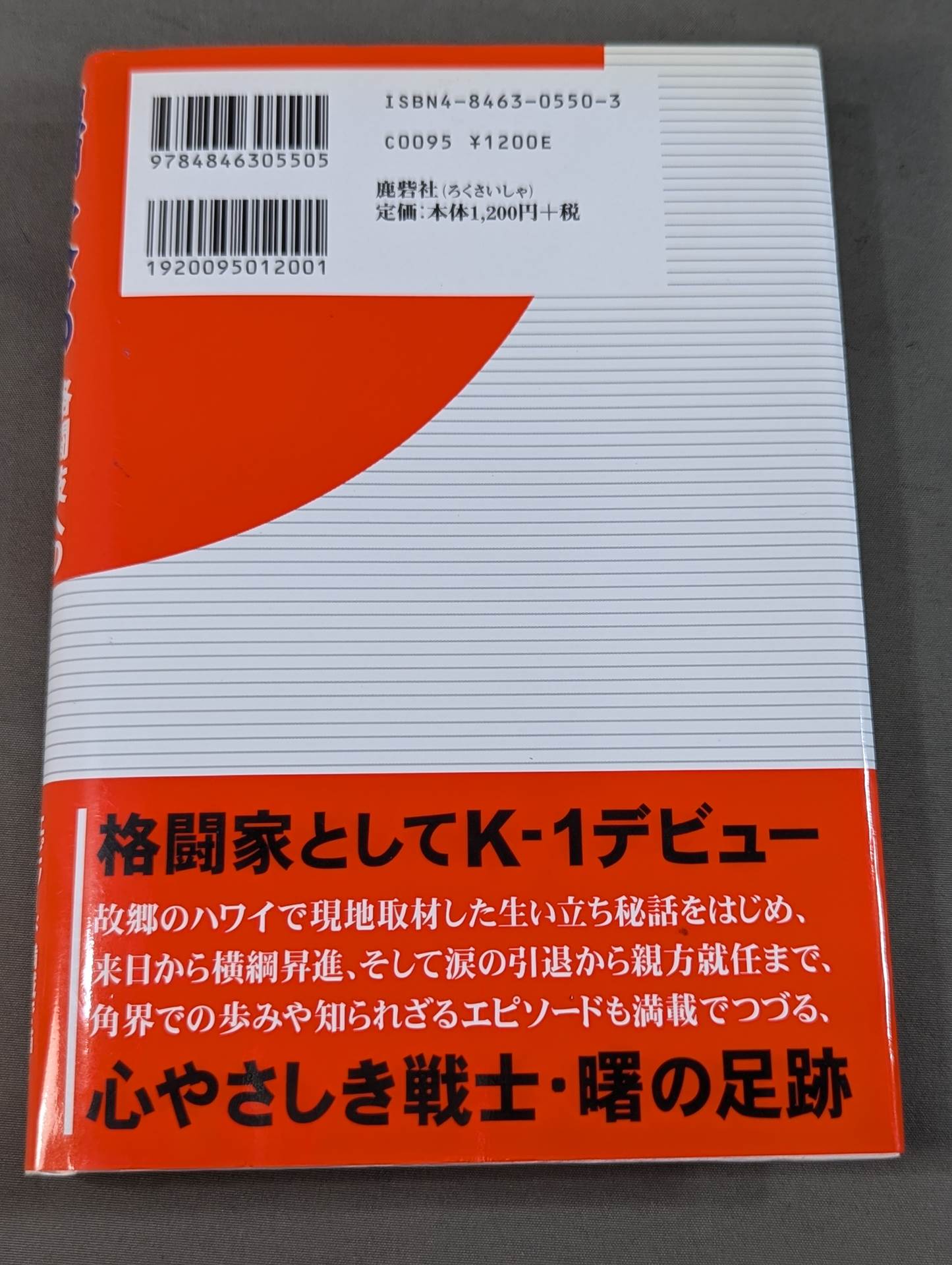 曙太郎 格闘技への挑戦