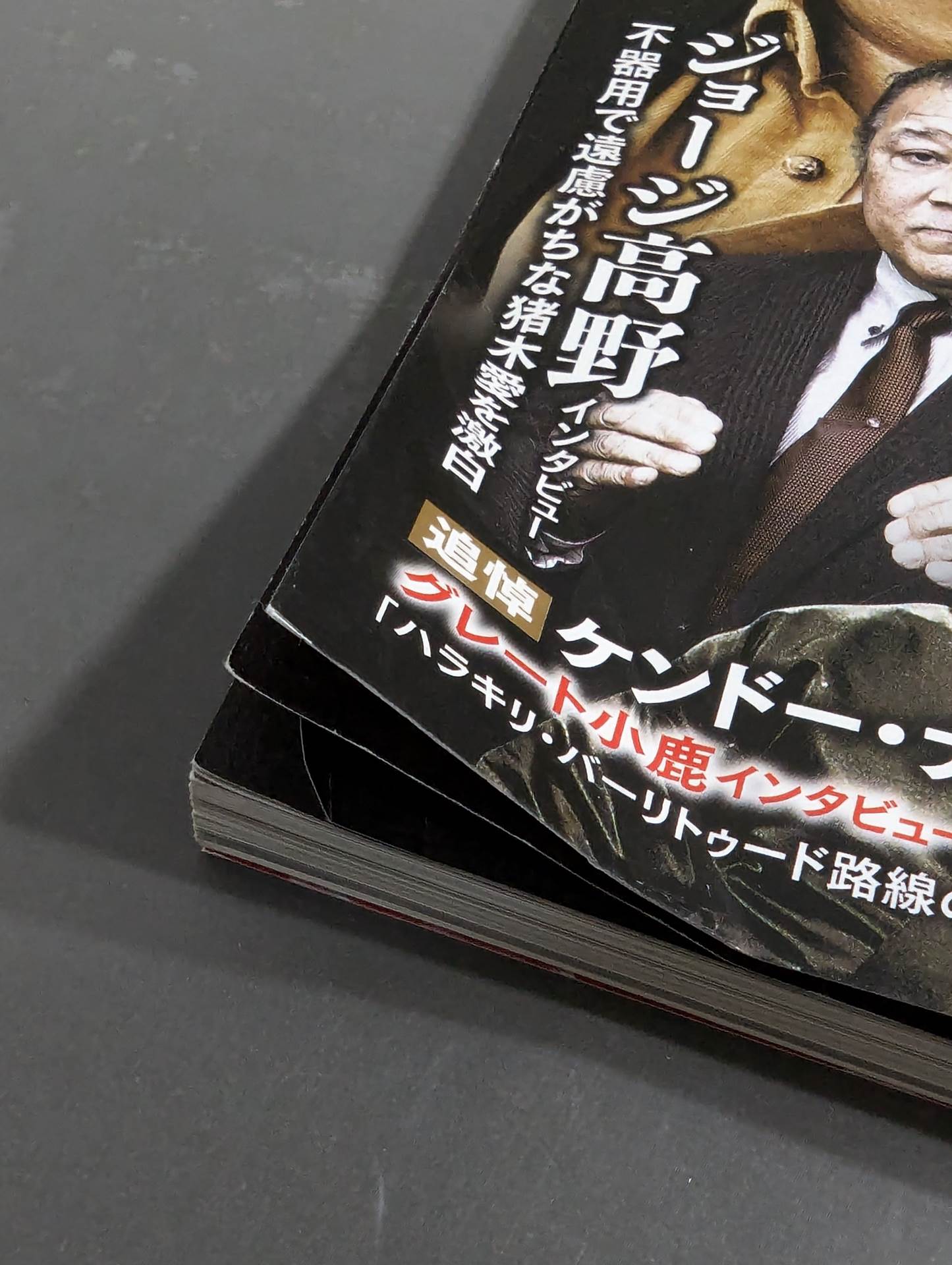 Series Paradoxical Pro Wrestling Vol.17 Pro Wrestling "Refusal to Interview" New Japan Pro Wrestlingvs Tarzan Week Pro's "Shoot-Out Tension"