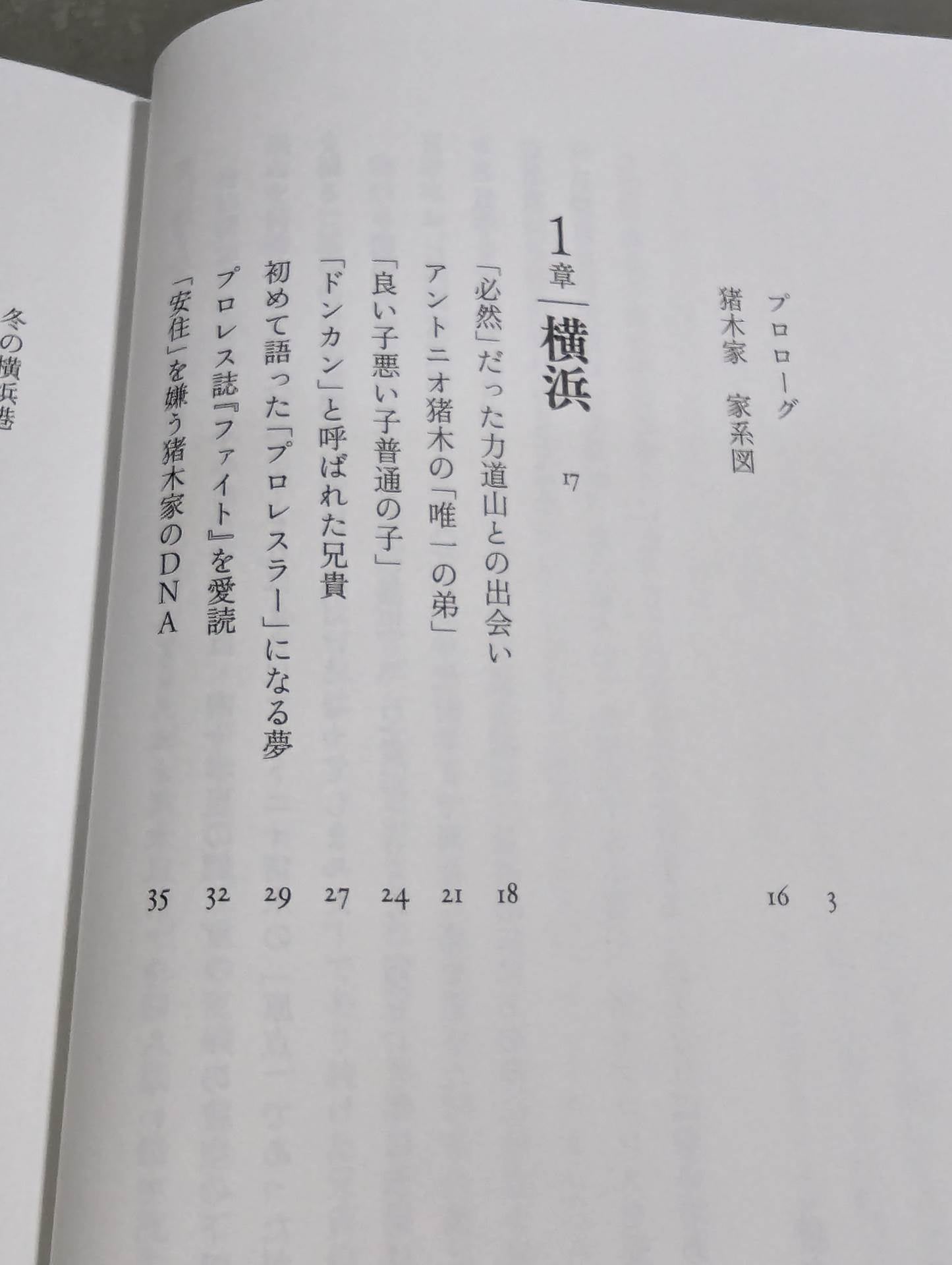 兄 私だけが知るアントニオ猪木