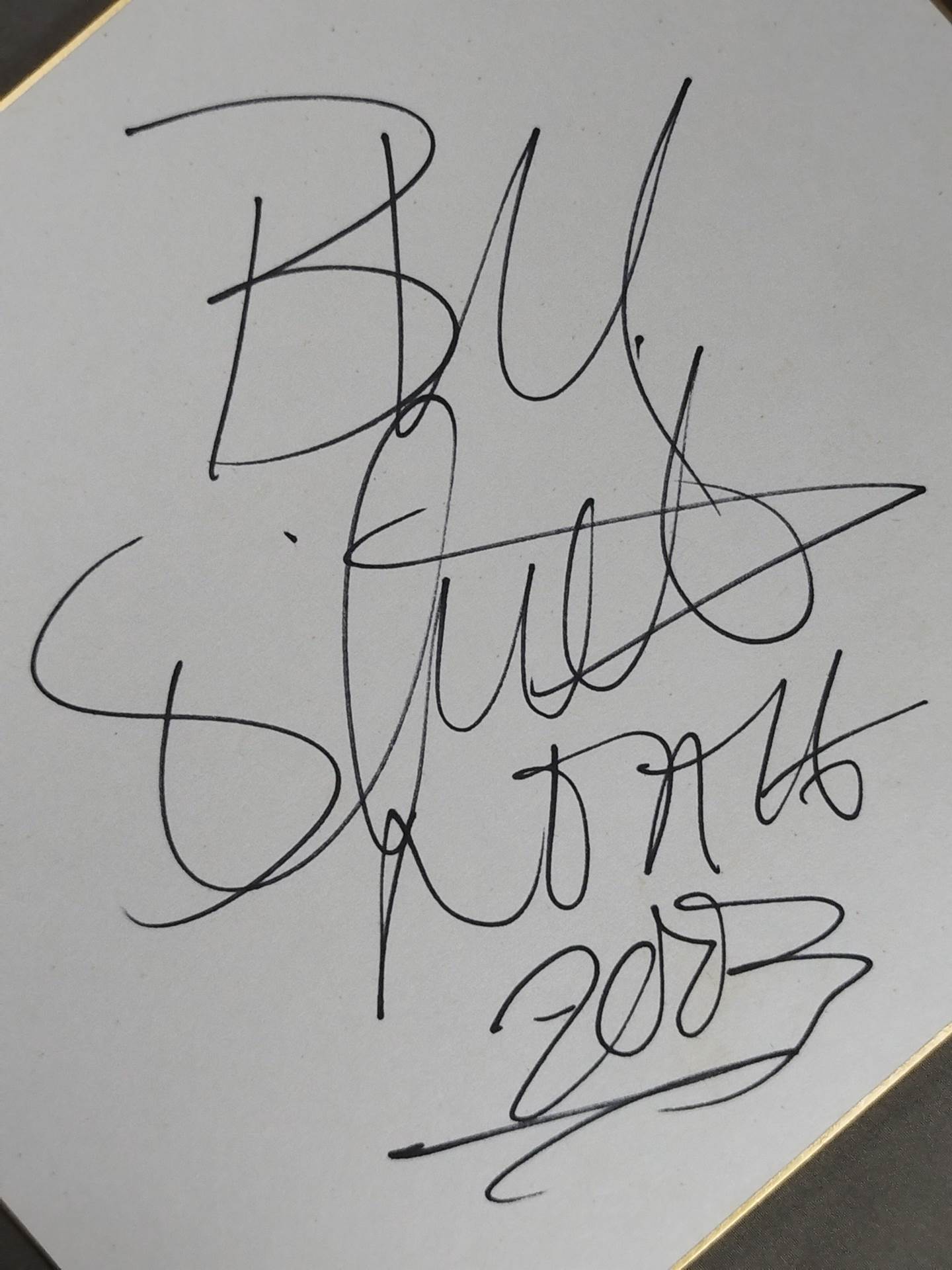 Bull Schmidt