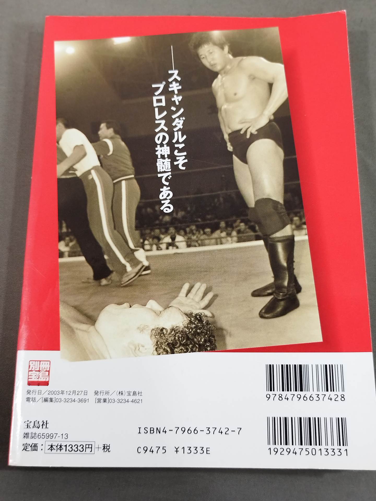 Separate volume Treasure Island 927 Pro Wrestling Scandal Case History - The Truth Now Revealed -