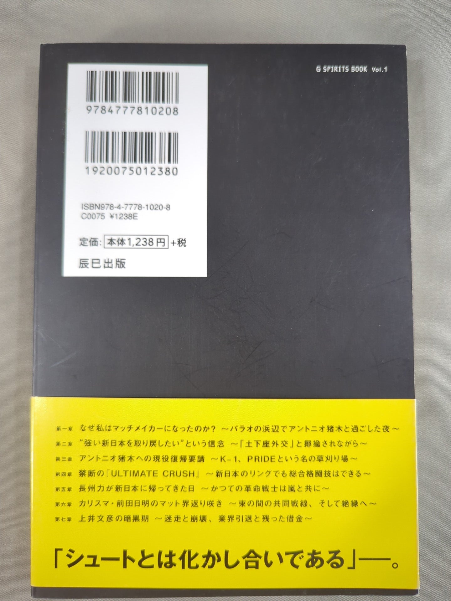 「ゼロ年代」 狂想のプロレス暗黒期