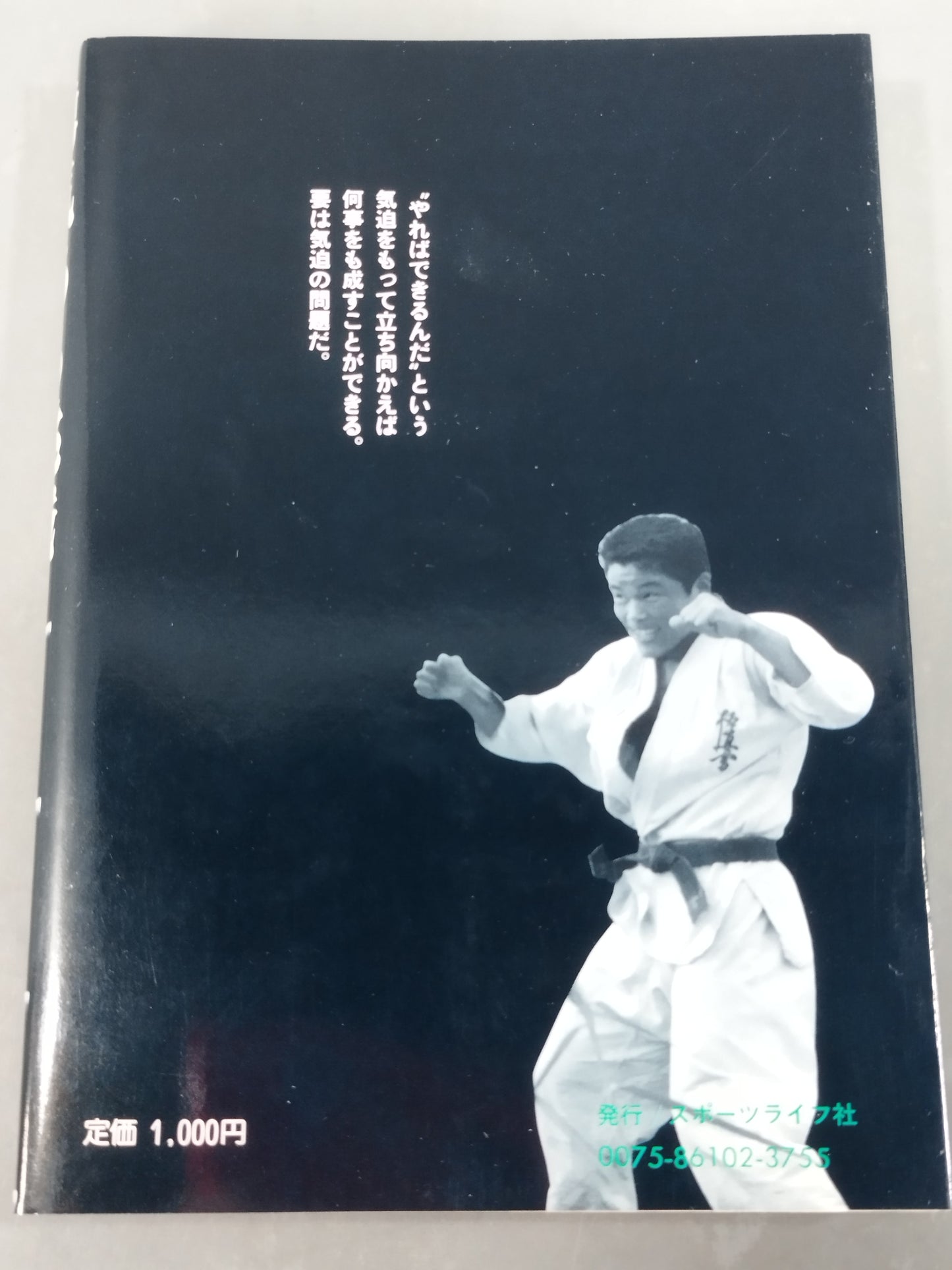 勇気ある挑戦 小さな巨人 大沢昇伝