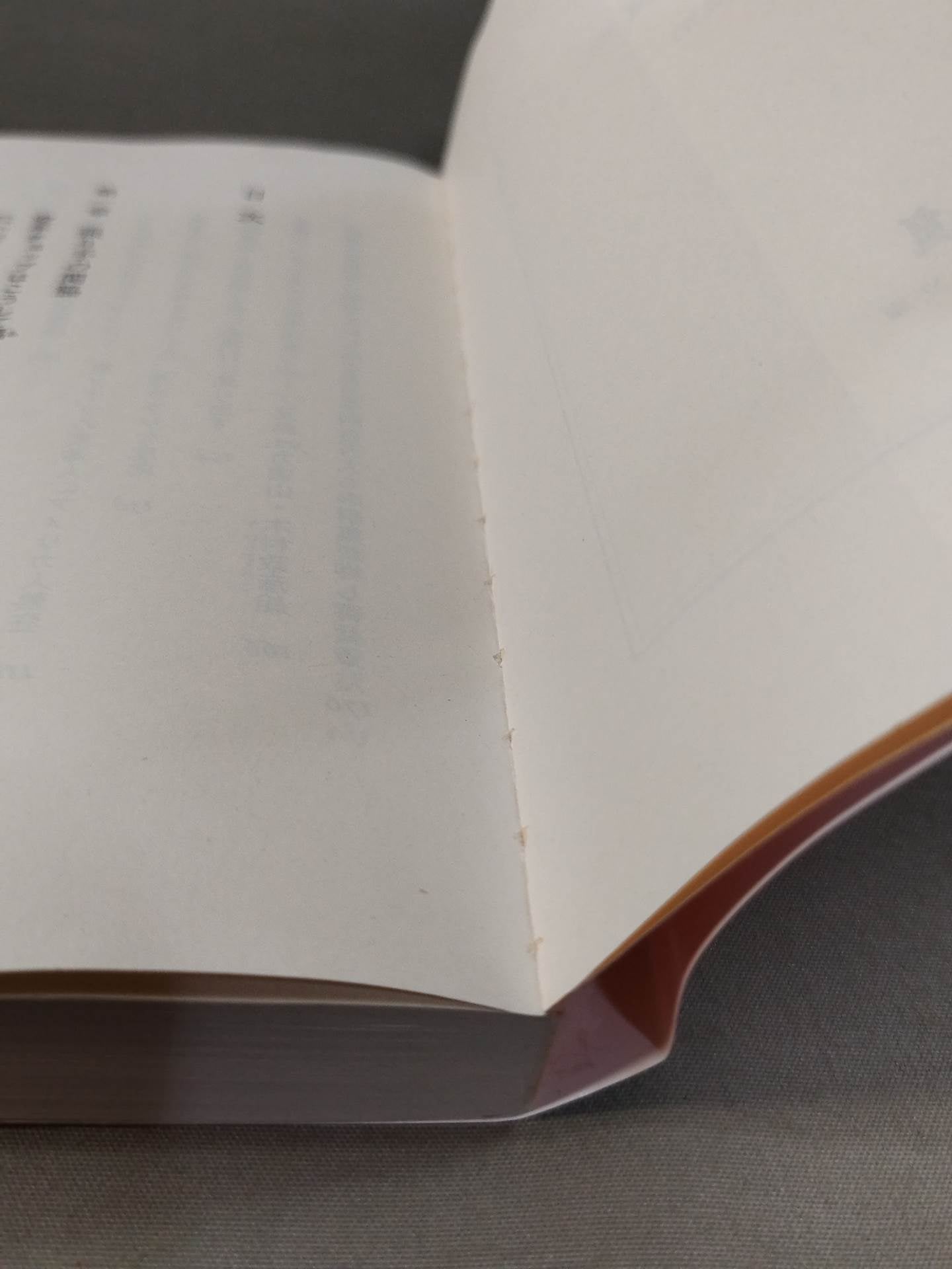 The truth about Rikidozan