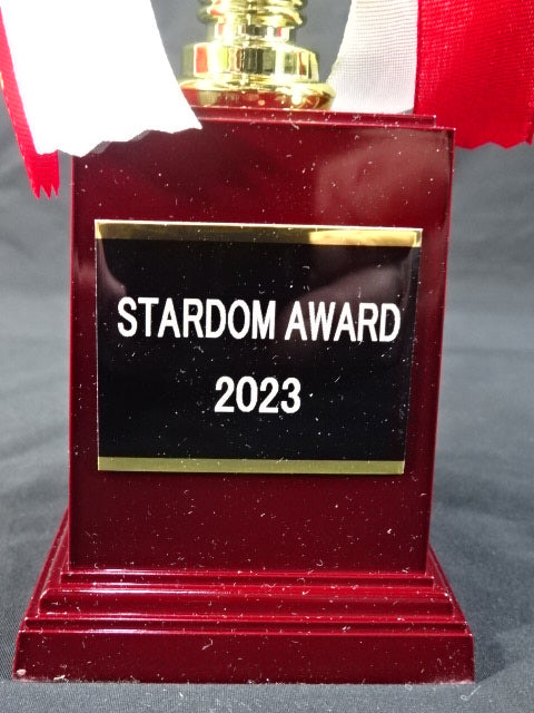 ★STARDOM AWARD 2023★ レプリカ記念トロフィー