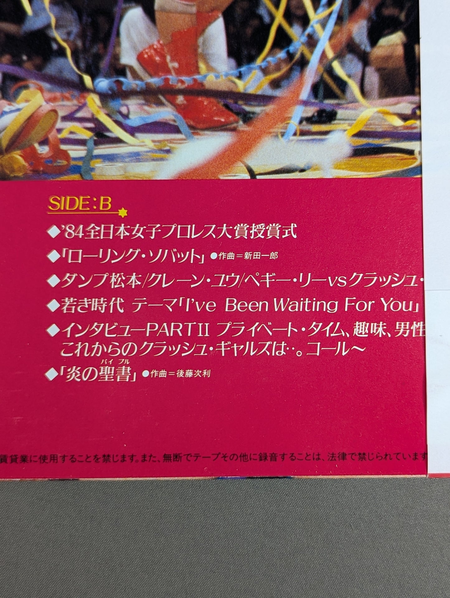 ~熱血の記録~ ドキュメント!クラッシュ・ギャルズ