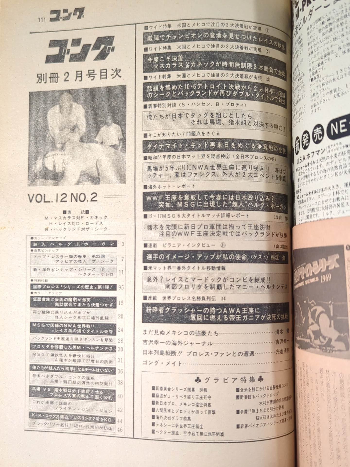 別冊ゴングVol.12 No.2