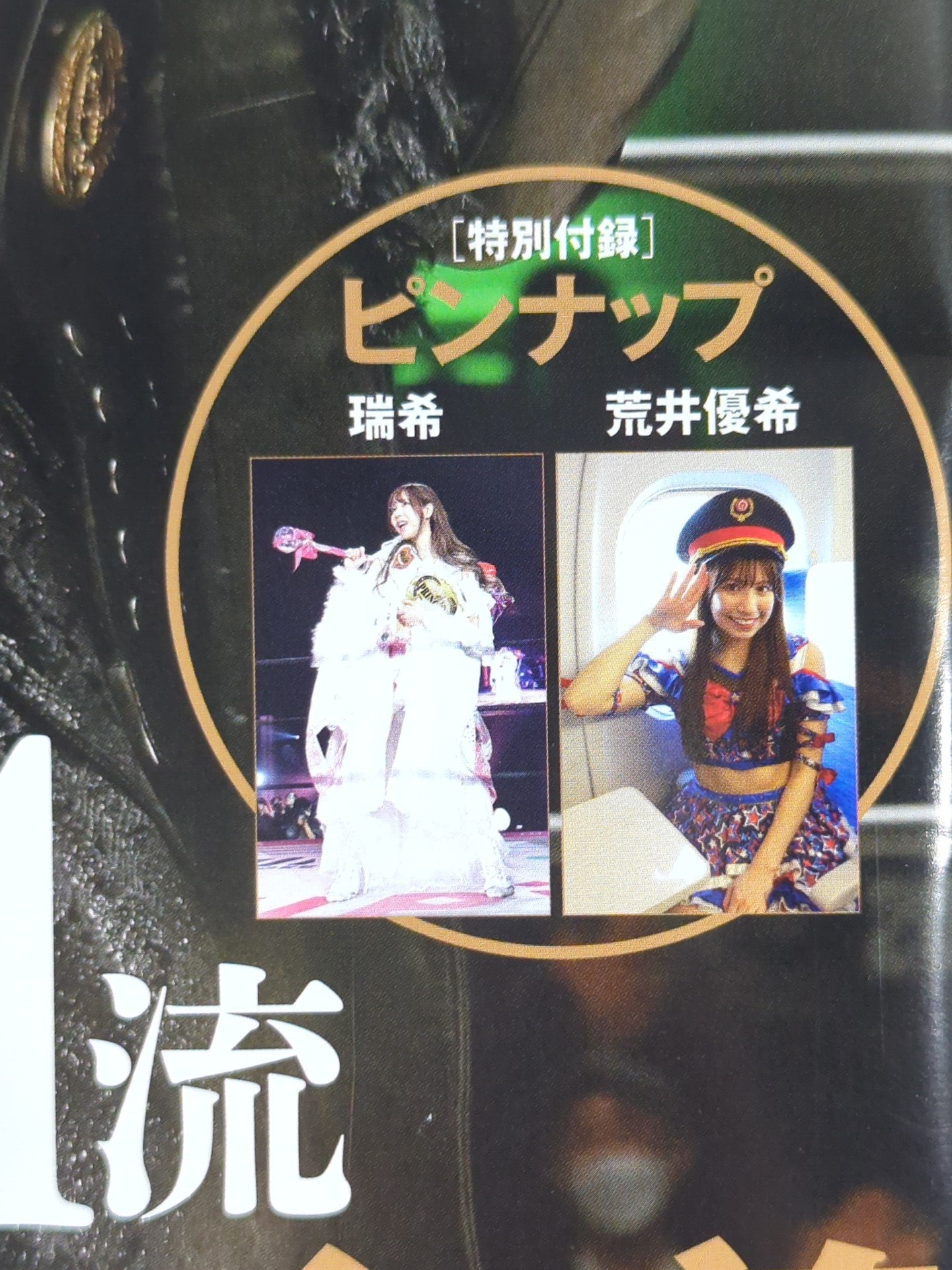 Weekly Pro Wrestling 2348