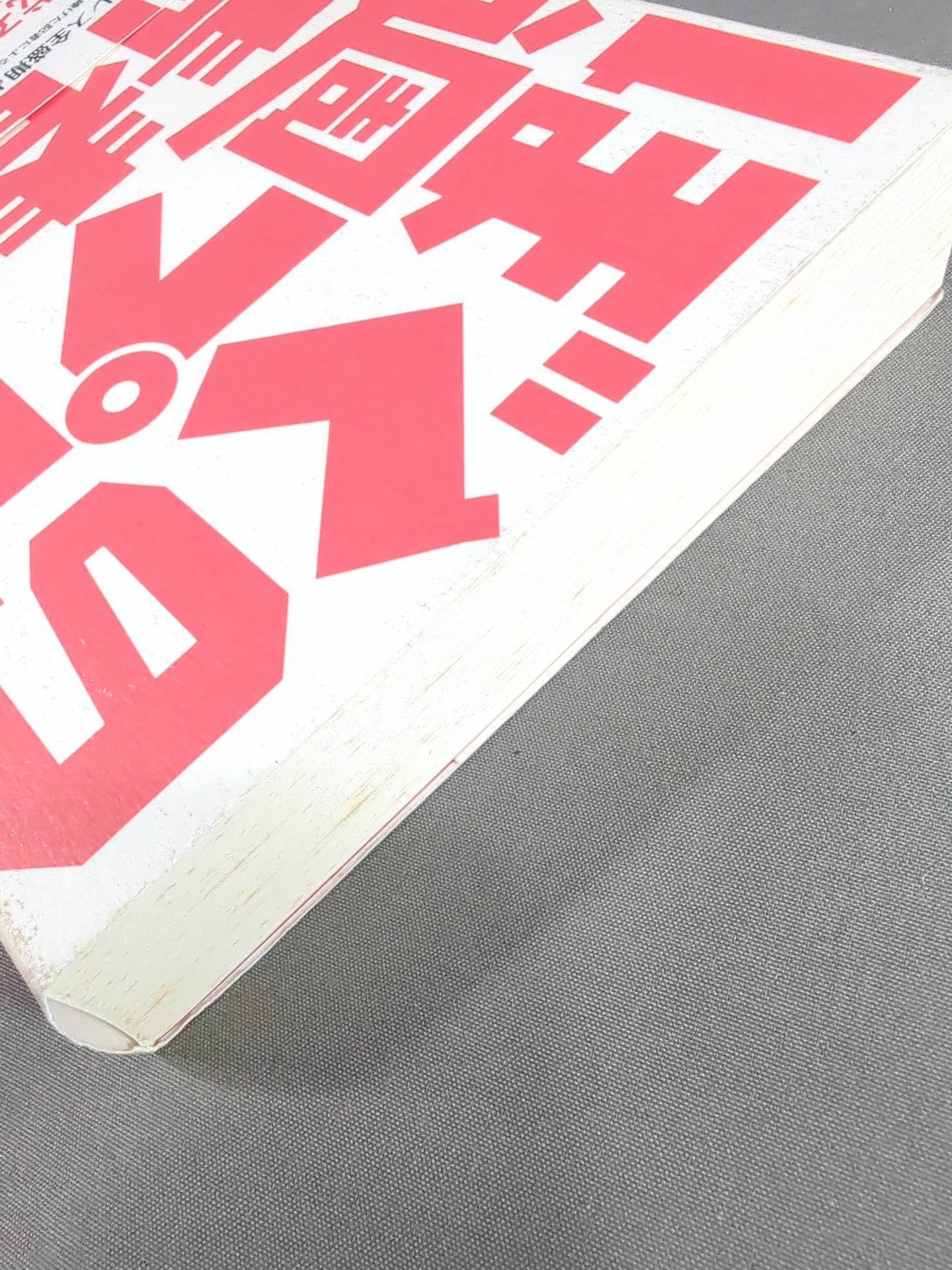 My Weekly Pro Youth: The Heyday of Pro Wrestling in the 90s and Its Truth