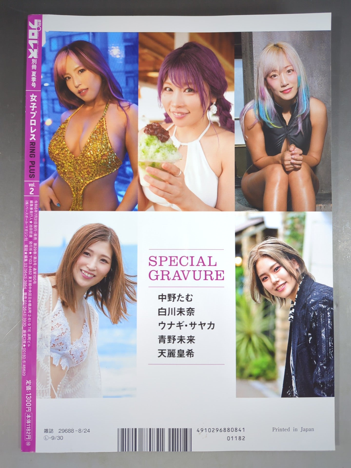 Weekly Pro Wrestling Appendix 150 "Women's Pro Wrestling RING PLUS" vol.2