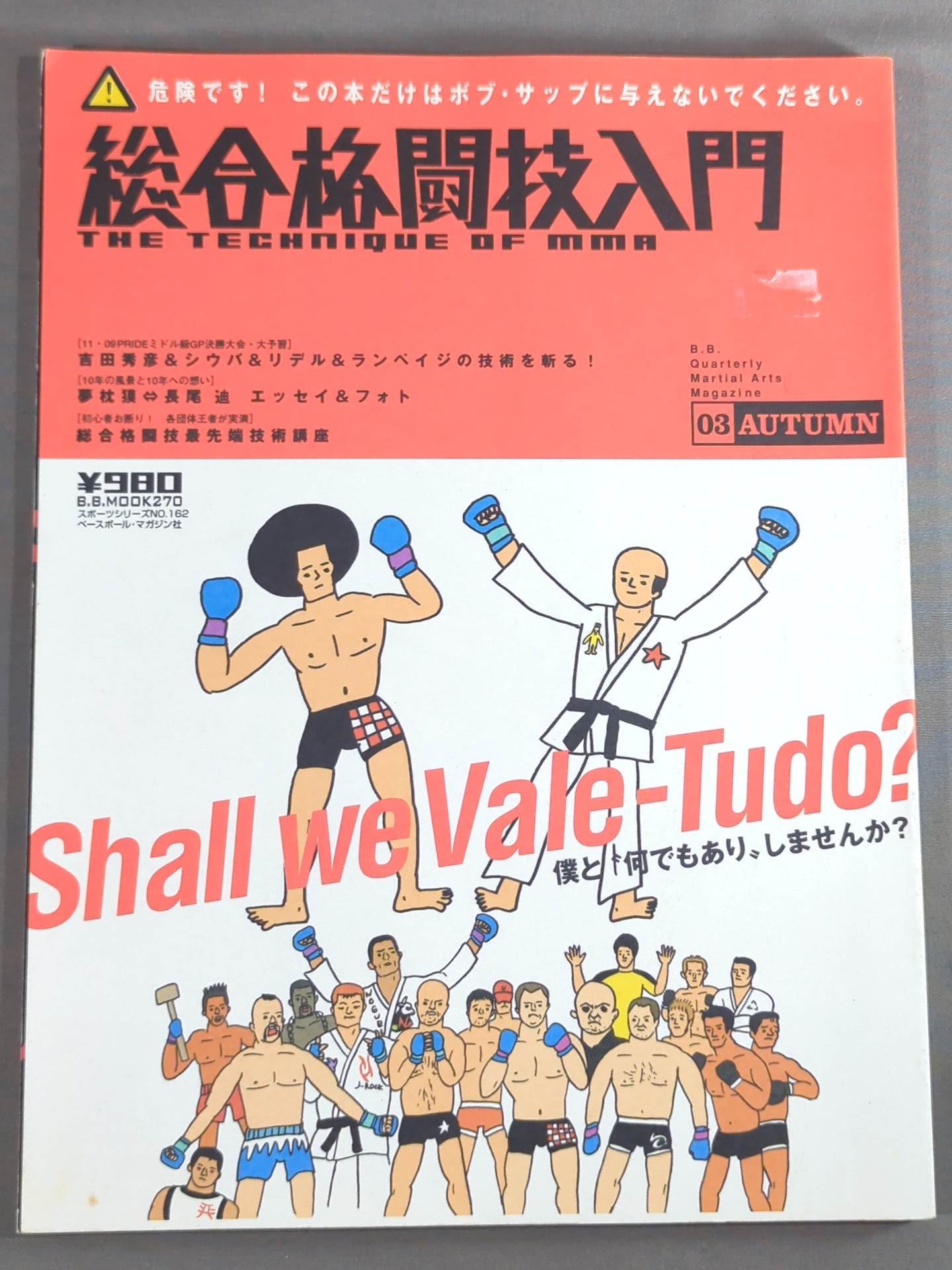 Introduction to Mixed Martial Arts