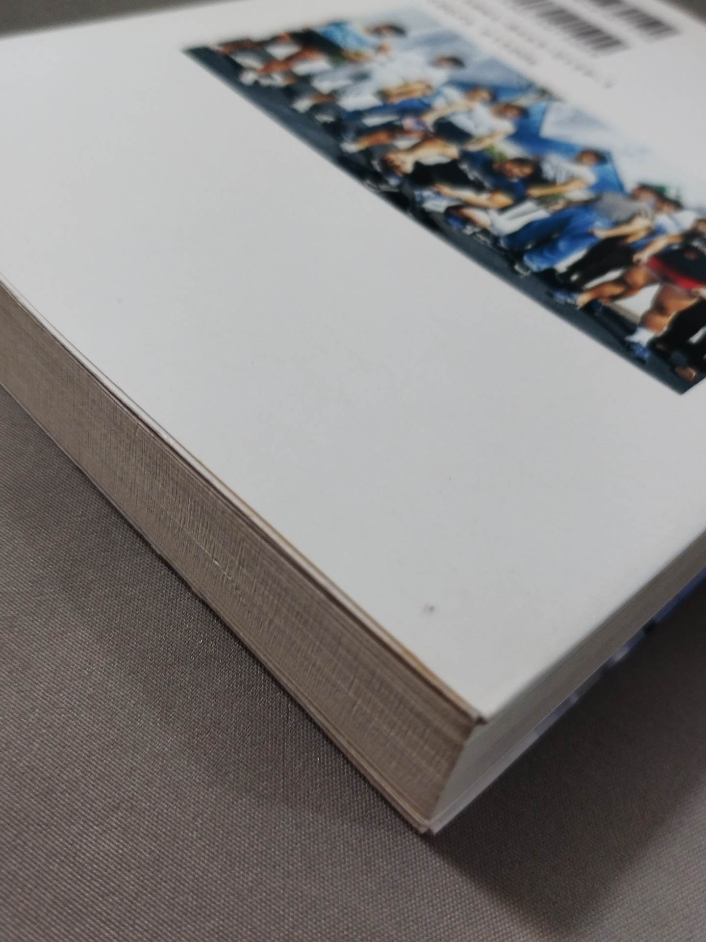 佐山サトル プロレス / シューティング / バーリ・トゥード