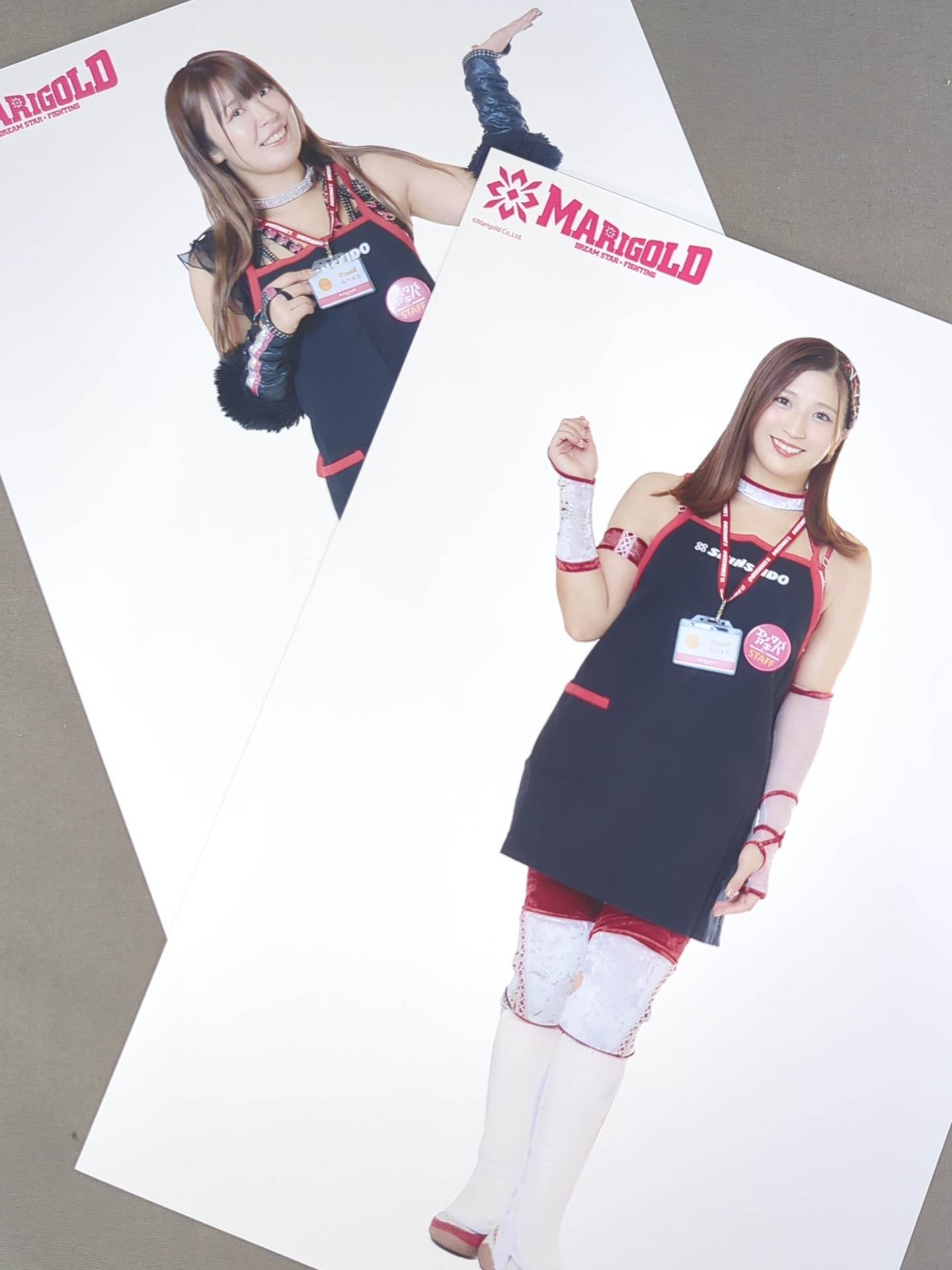 ★全21種コンプリート★ マリーゴールド ポートレート (エプロンA) 21枚セット
