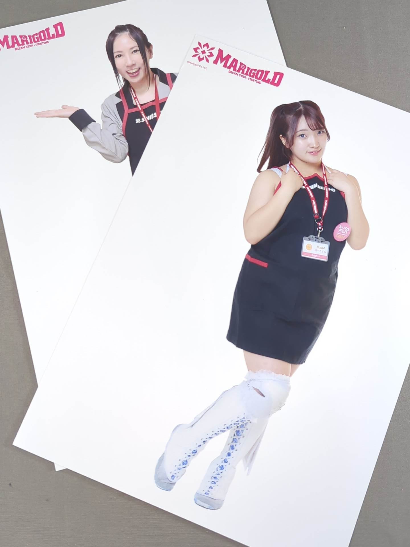 ★全21種コンプリート★ マリーゴールド ポートレート (エプロンA) 21枚セット