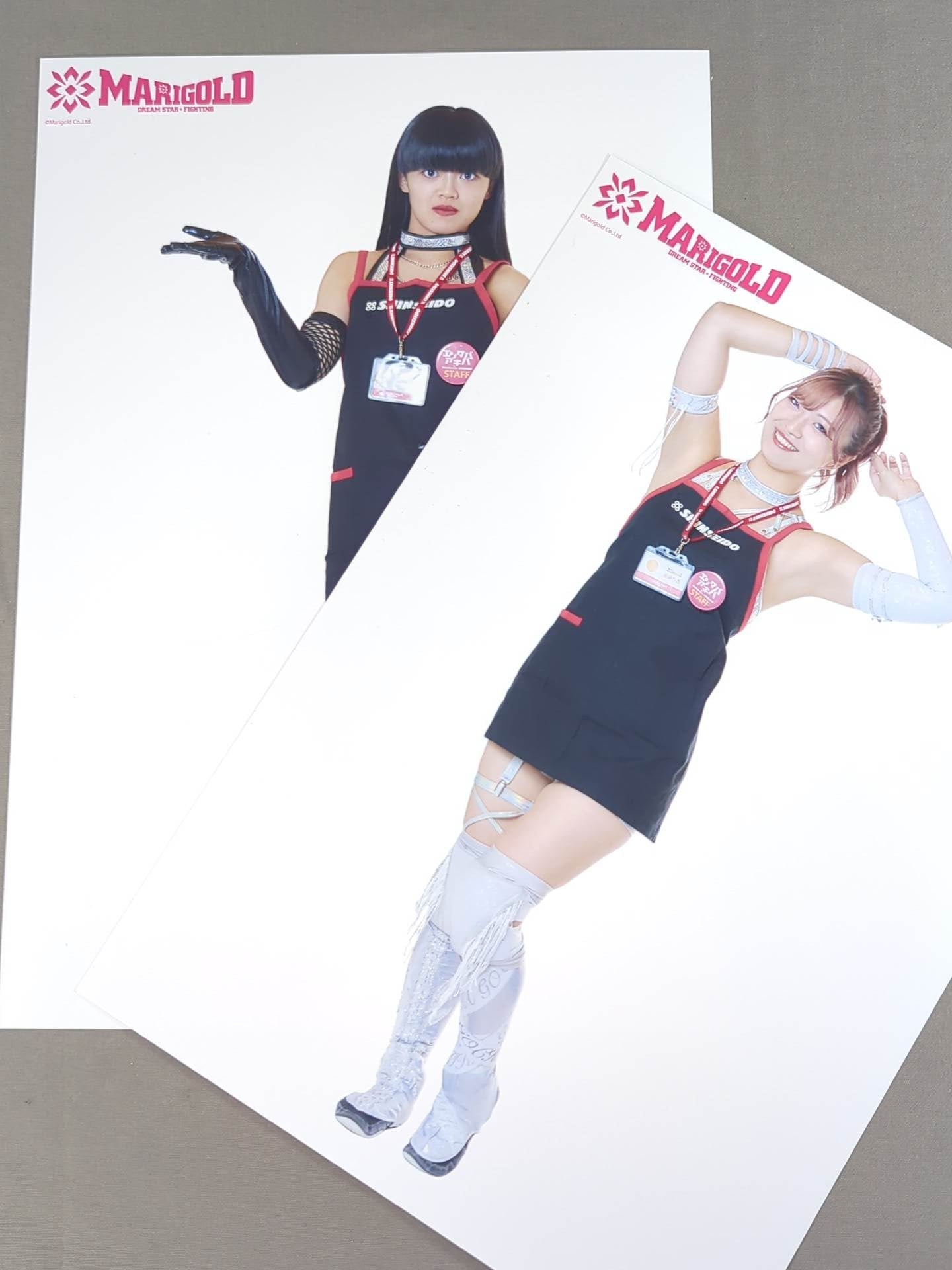 ★全21種コンプリート★ マリーゴールド ポートレート (エプロンA) 21枚セット