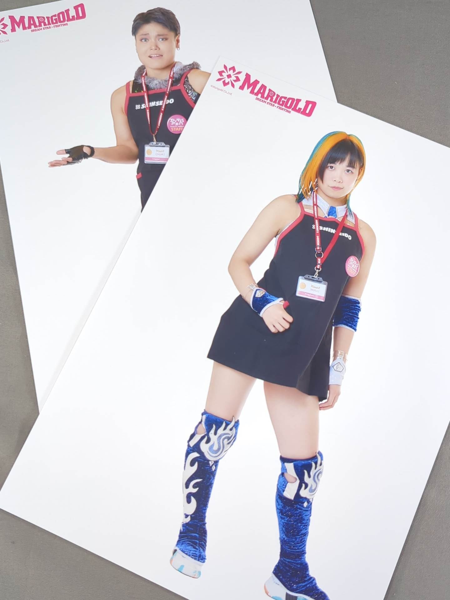 ★全21種コンプリート★ マリーゴールド ポートレート (エプロンA) 21枚セット