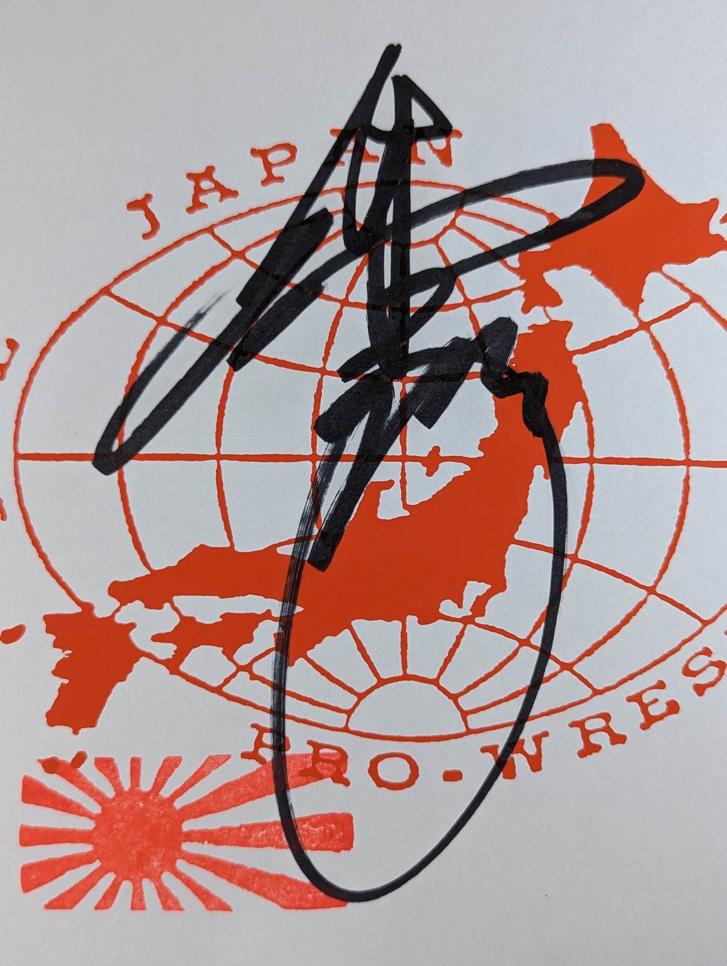 Tsuyoshi Kikuchi (All Japan Pro Wrestling ) 19th Anniversary Shikishi ( Autograph board ) )