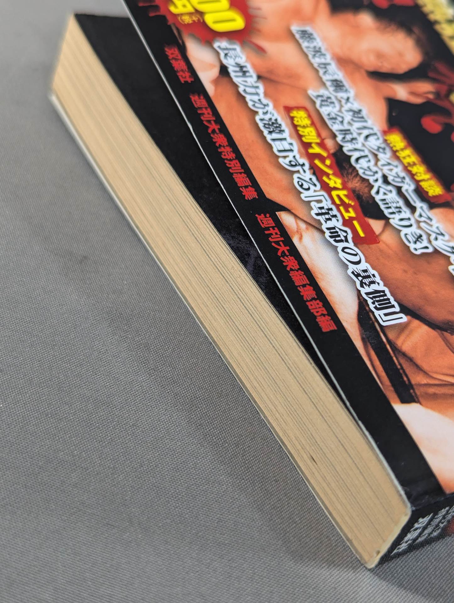 Pro Wrestling Enthusiasm Ring "Shocking Incident" Truth 25 The Moment of Birth of a Legend