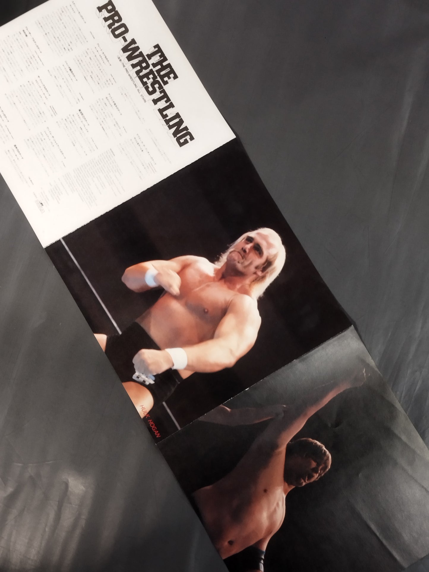 The Pro-wrestling