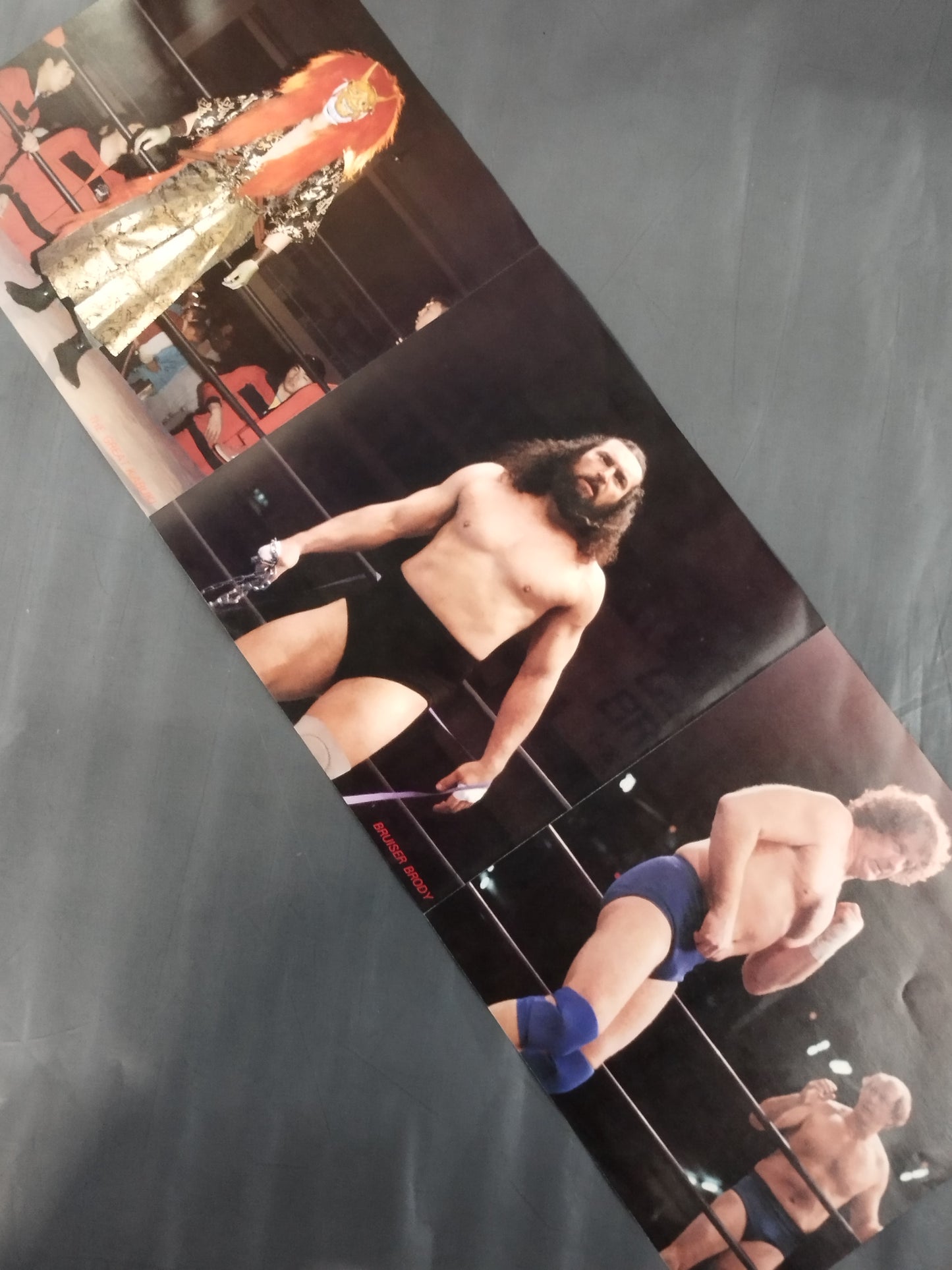 The Pro-wrestling