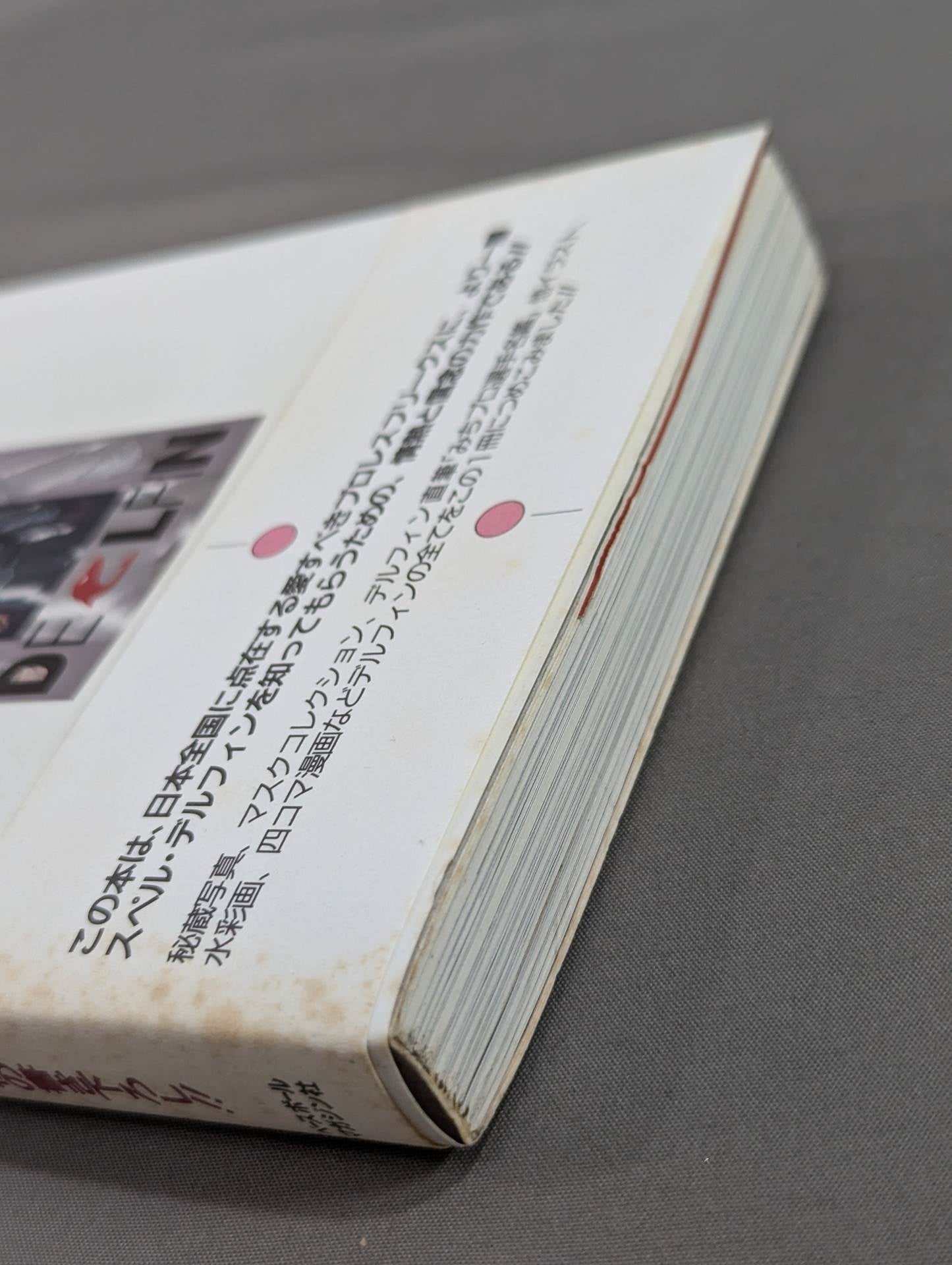 【Hand signed autograph】 You will surely like Delfin