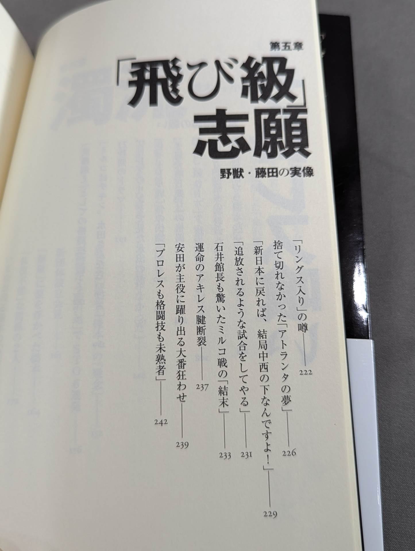 Infanticide with InokiTen Years' War in New Japan Pro Wrestling