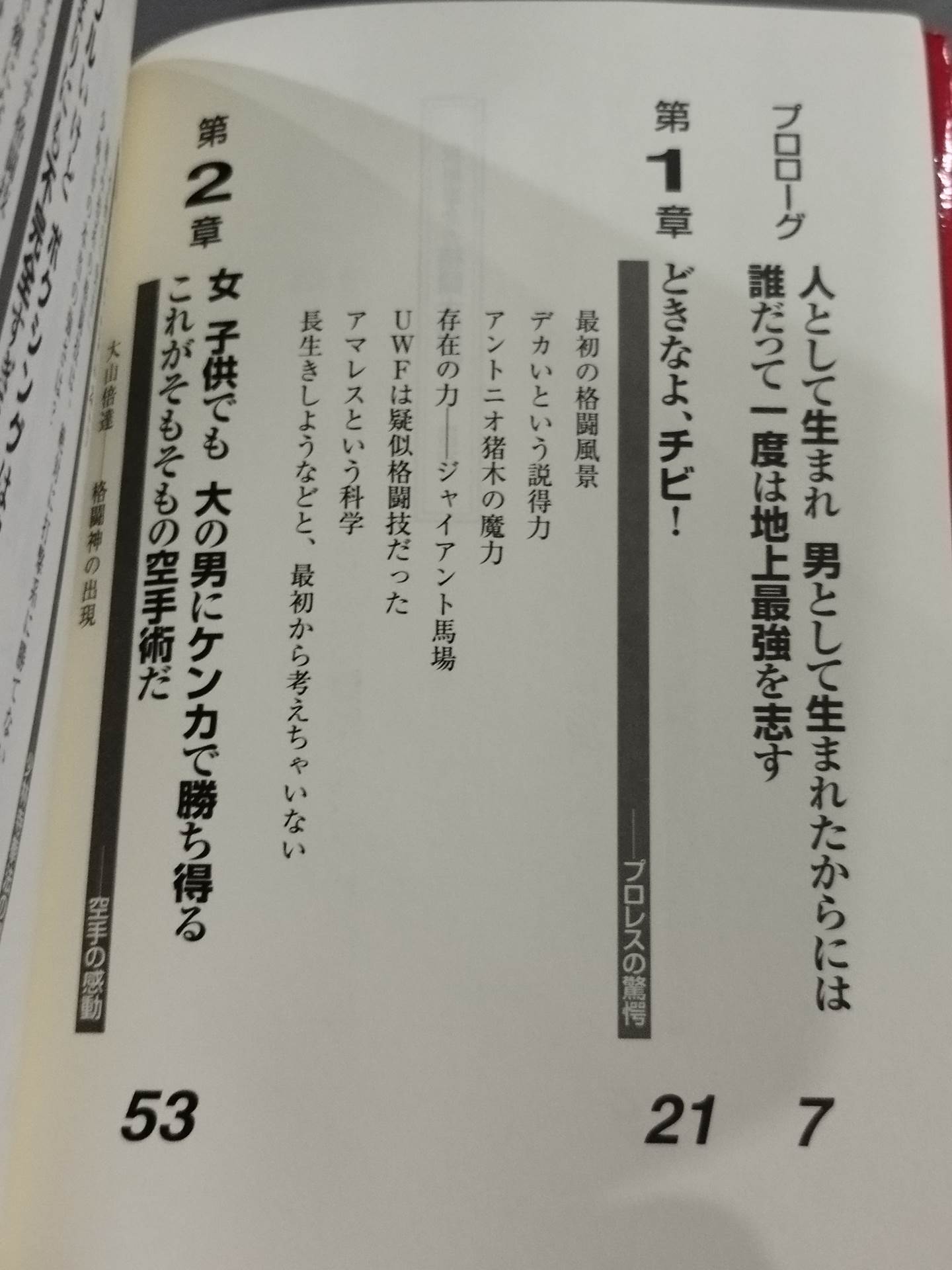 Keisuke Itagaki's Martial Warrior Legend (Grappler Retsuden)