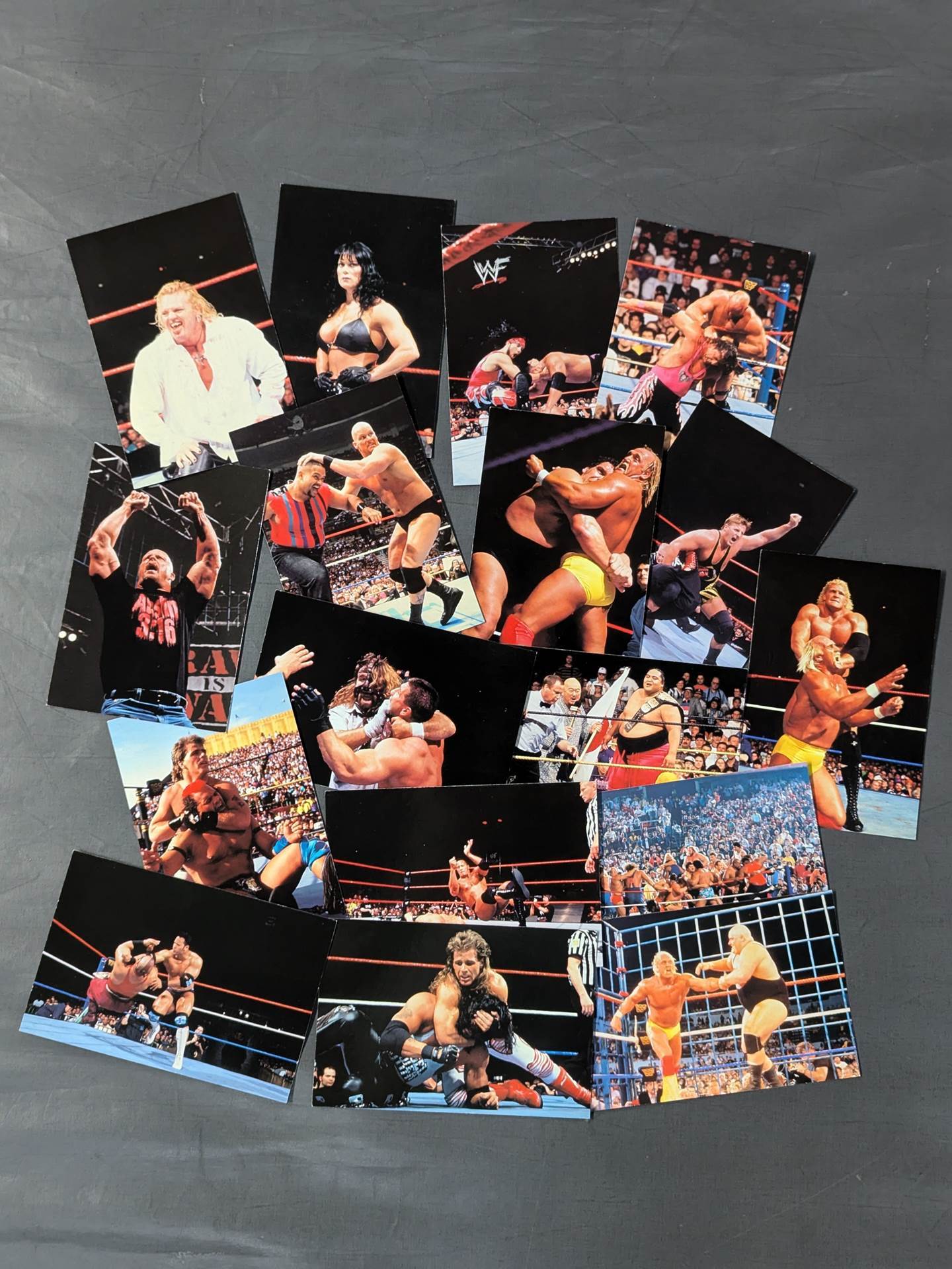 WWF ポストカードセット③